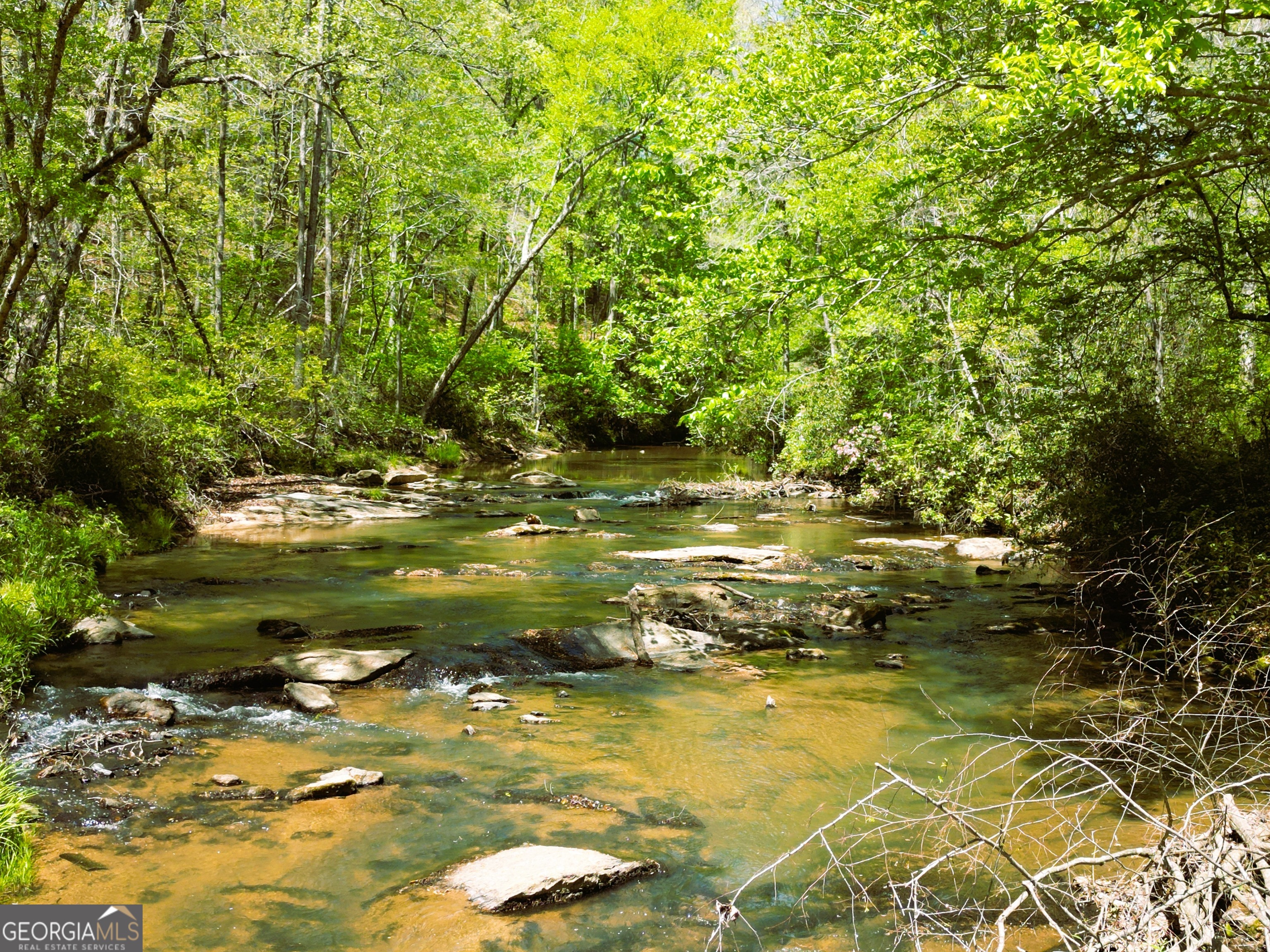 0 Sand Hill Road Bowman GA 30624