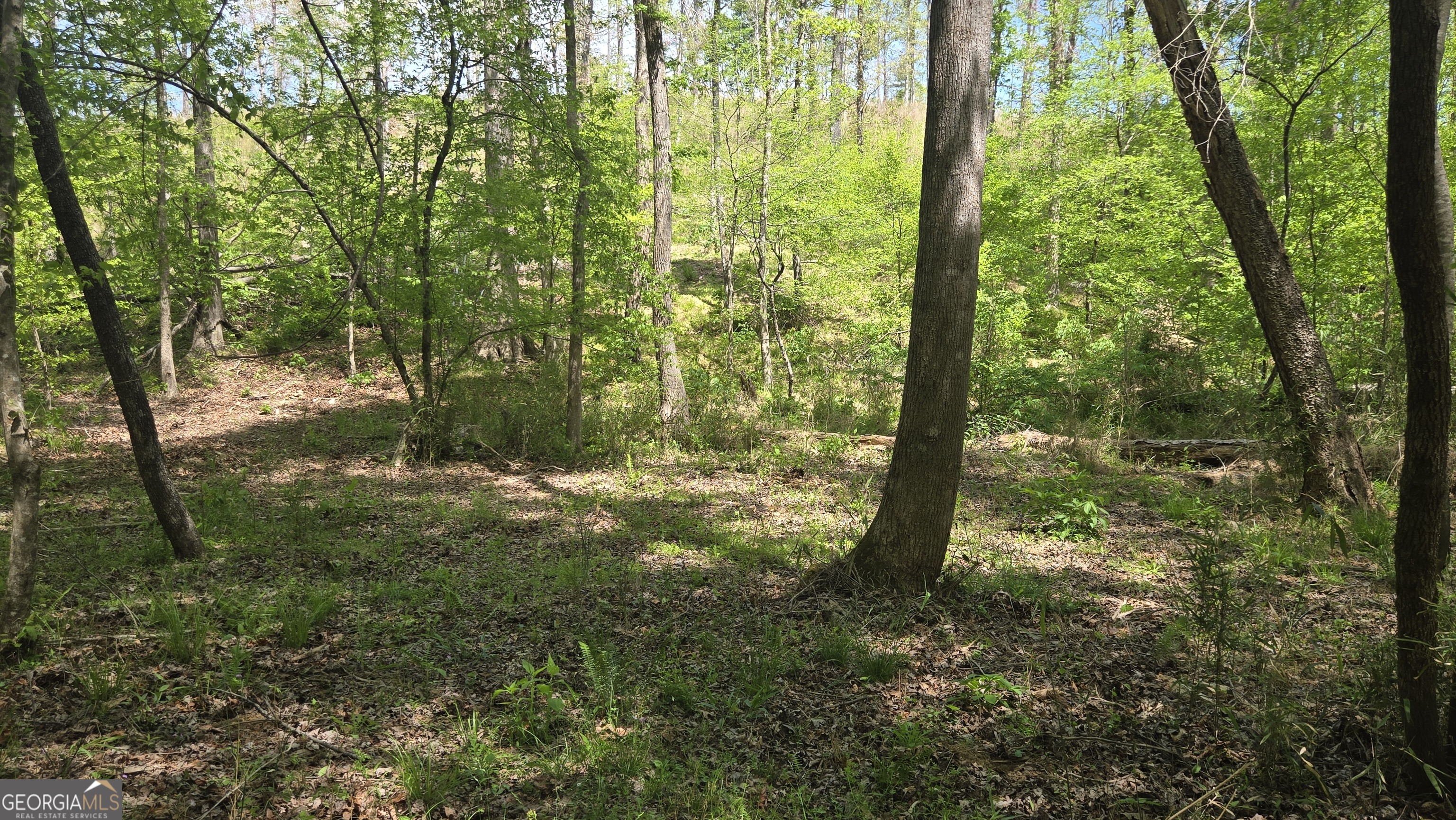 0 Sand Hill Road Bowman GA 30624