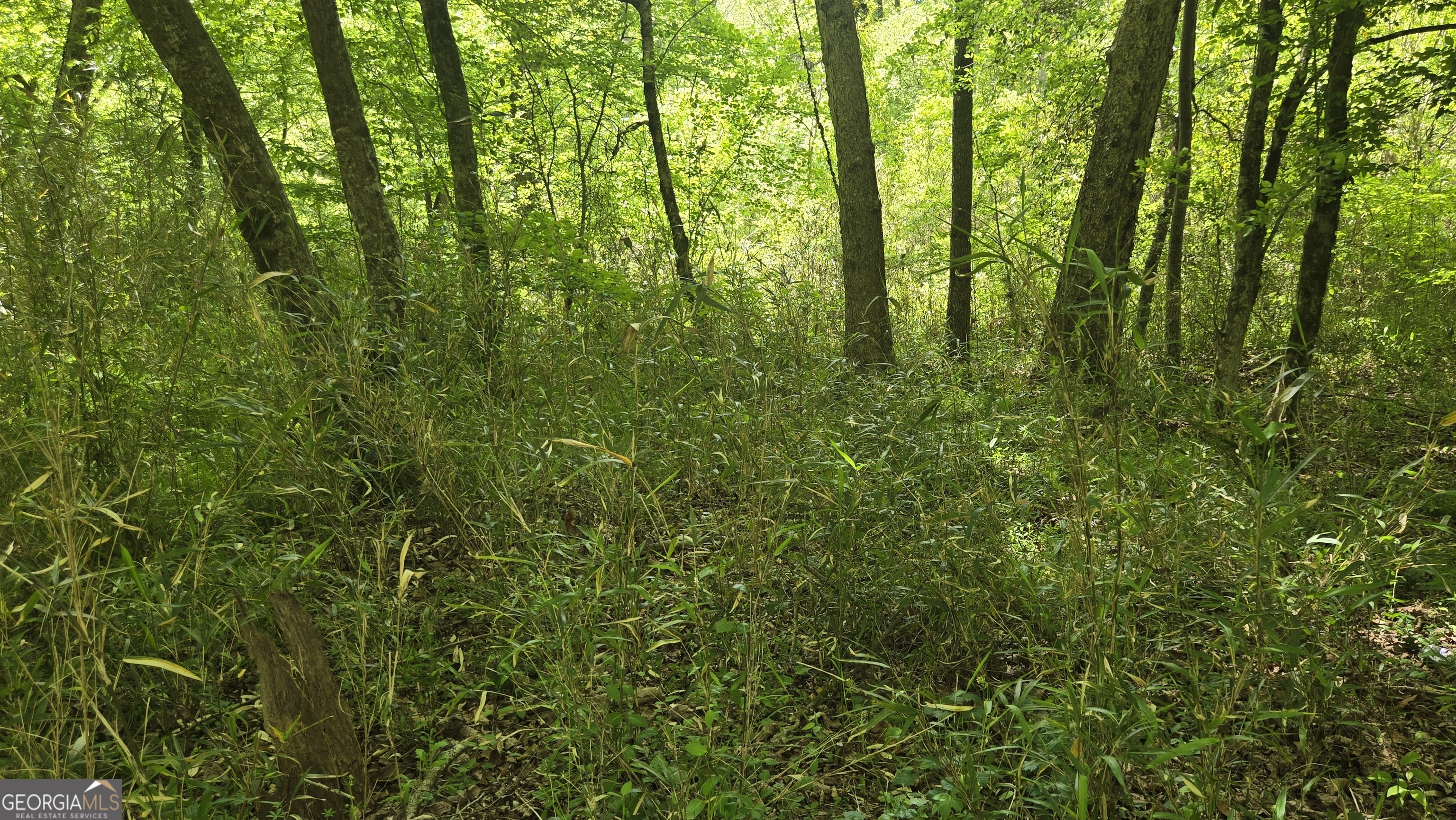 0 Sand Hill Road Bowman GA 30624