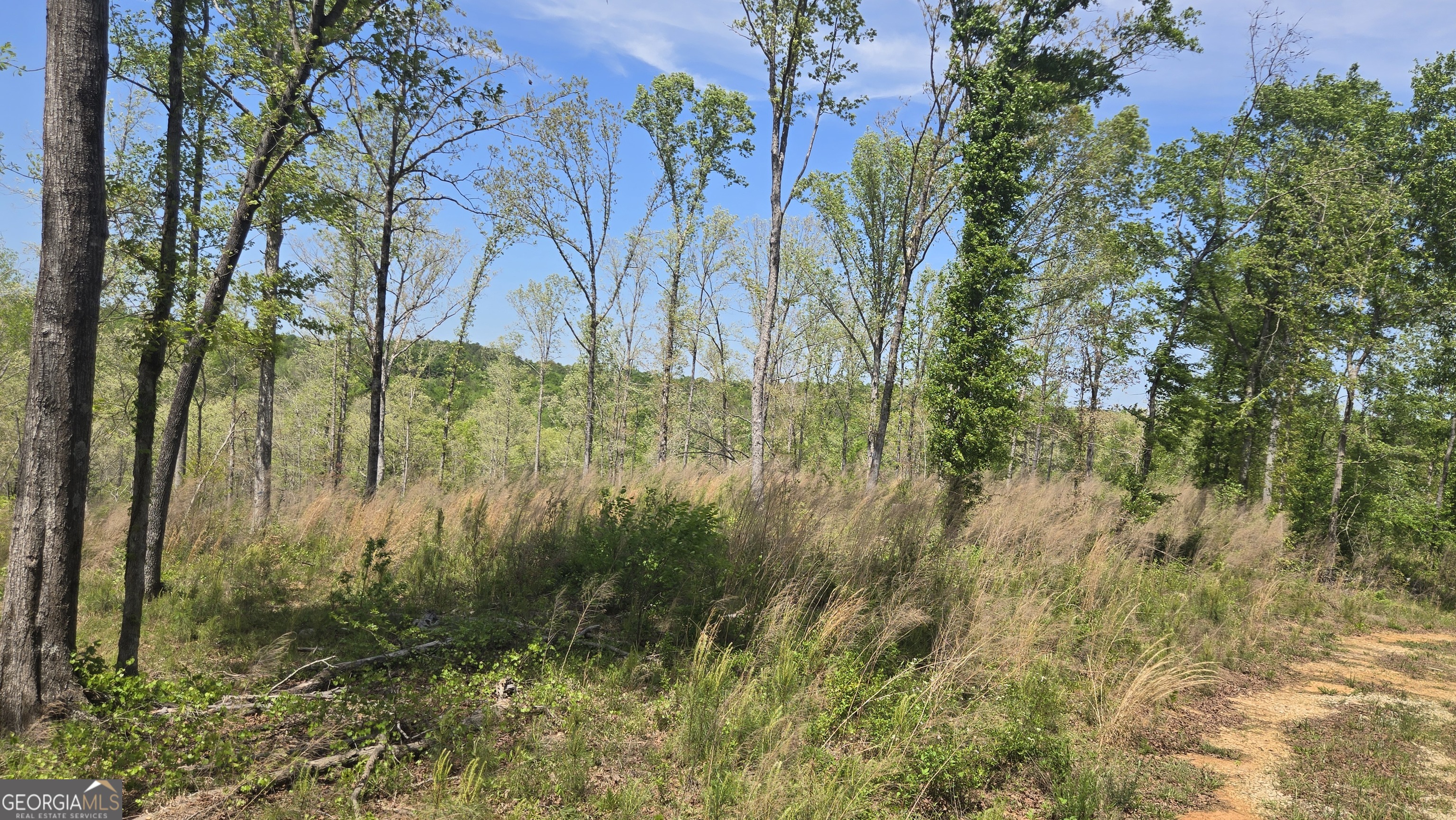 0 Sand Hill Road Bowman GA 30624