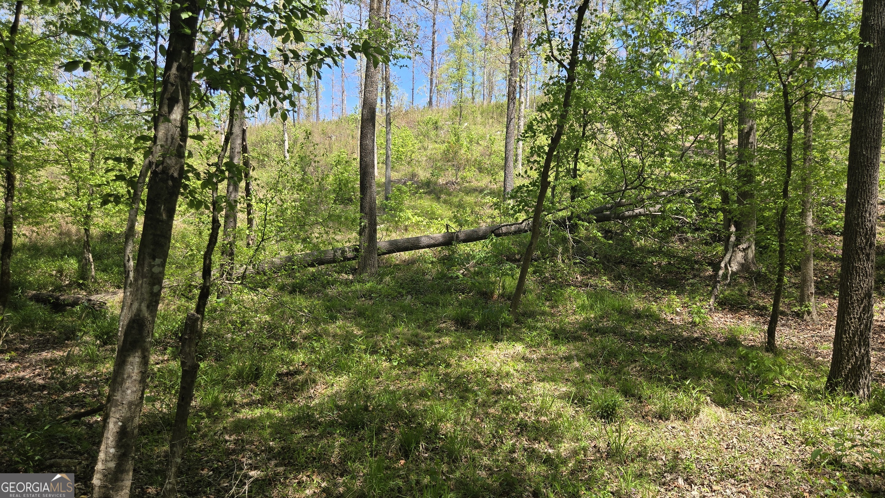 0 Sand Hill Road Bowman GA 30624