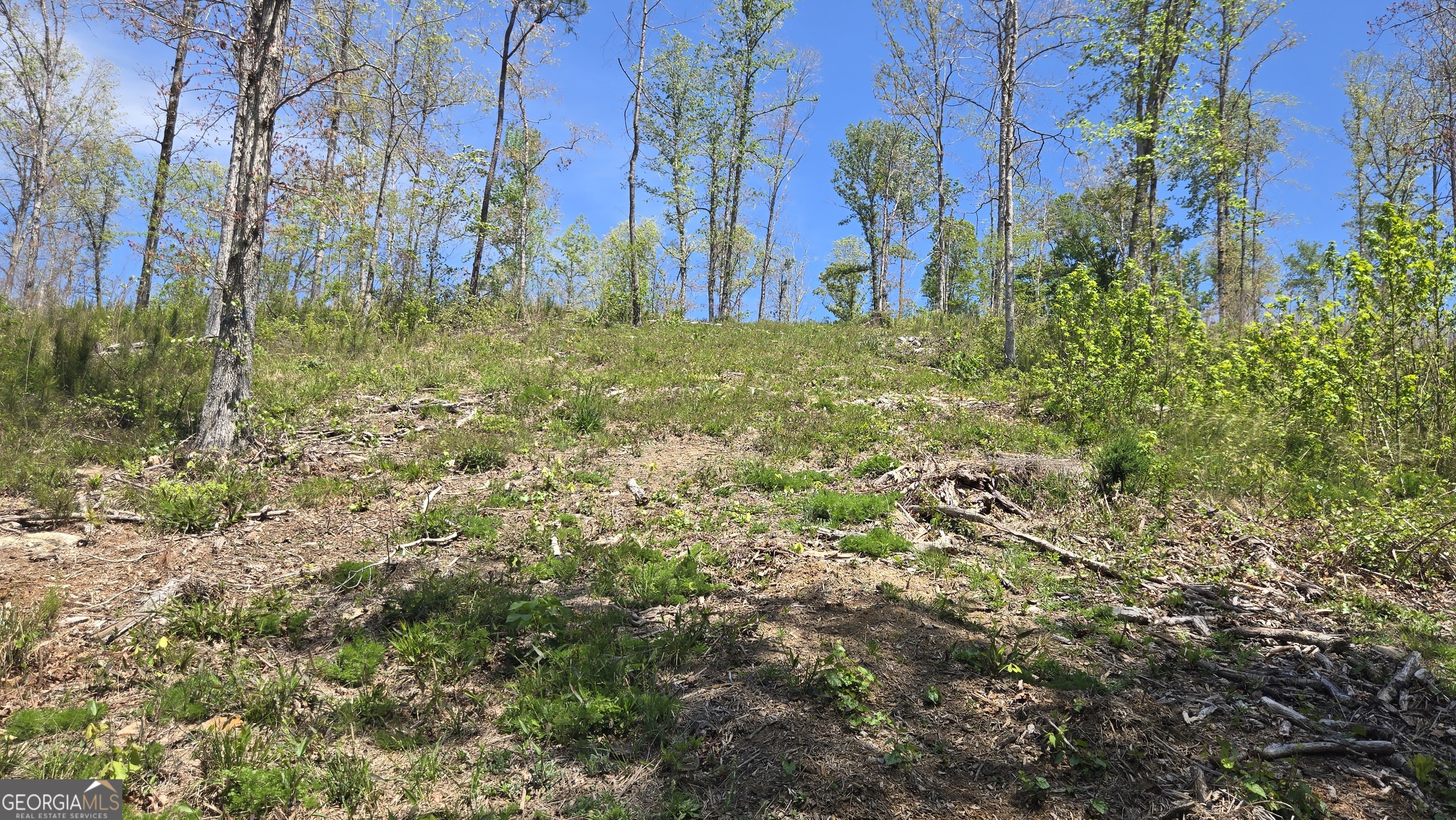0 Sand Hill Road Bowman GA 30624