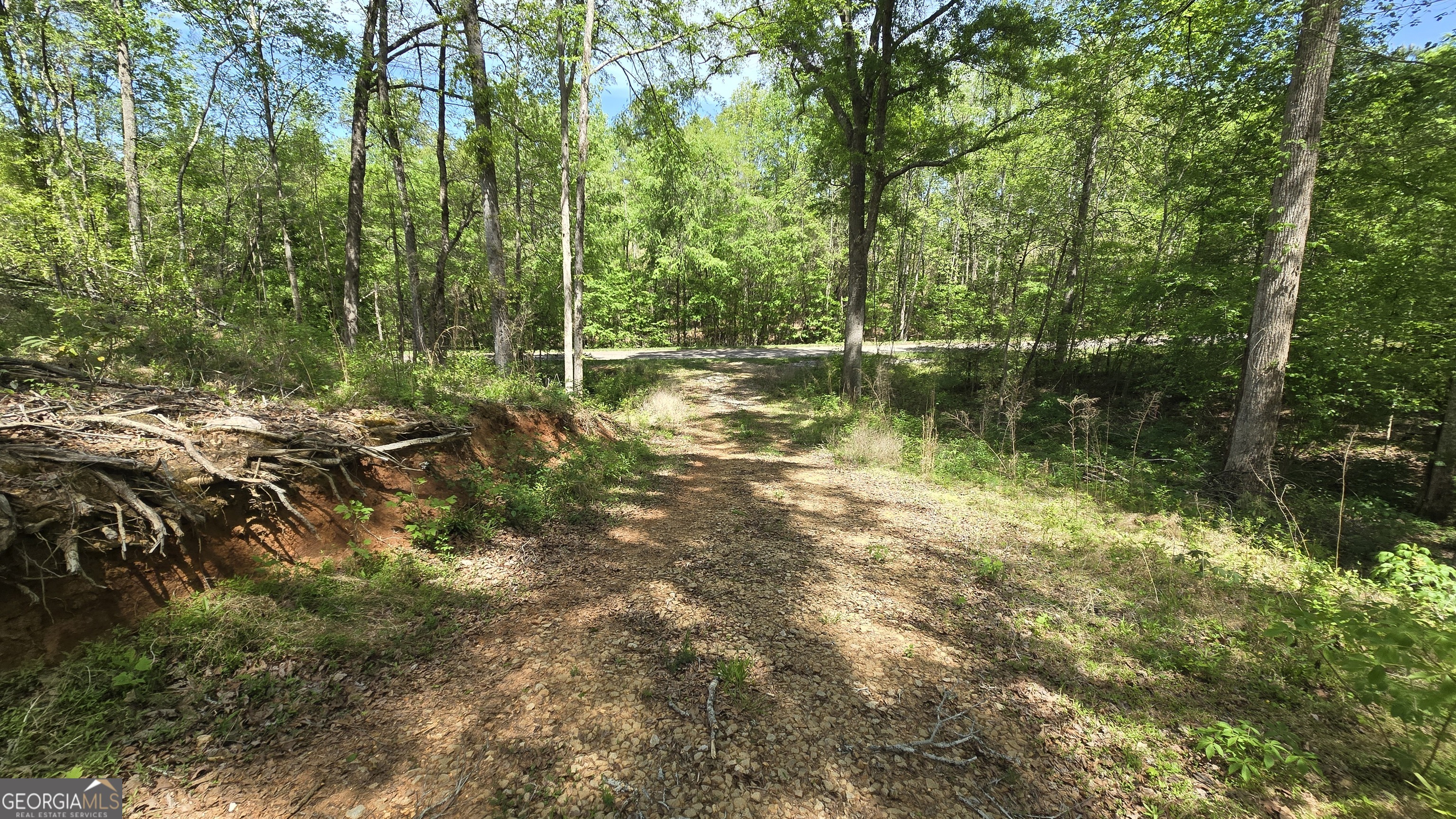 0 Sand Hill Road Bowman GA 30624