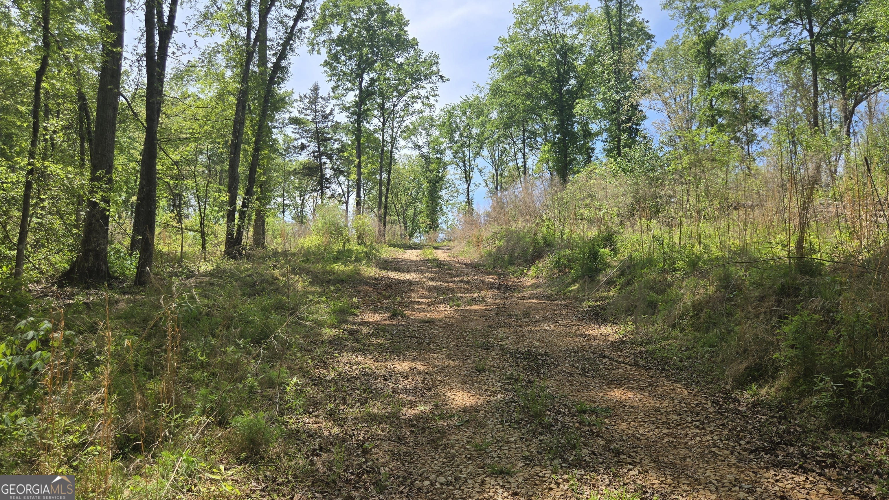0 Sand Hill Road Bowman GA 30624