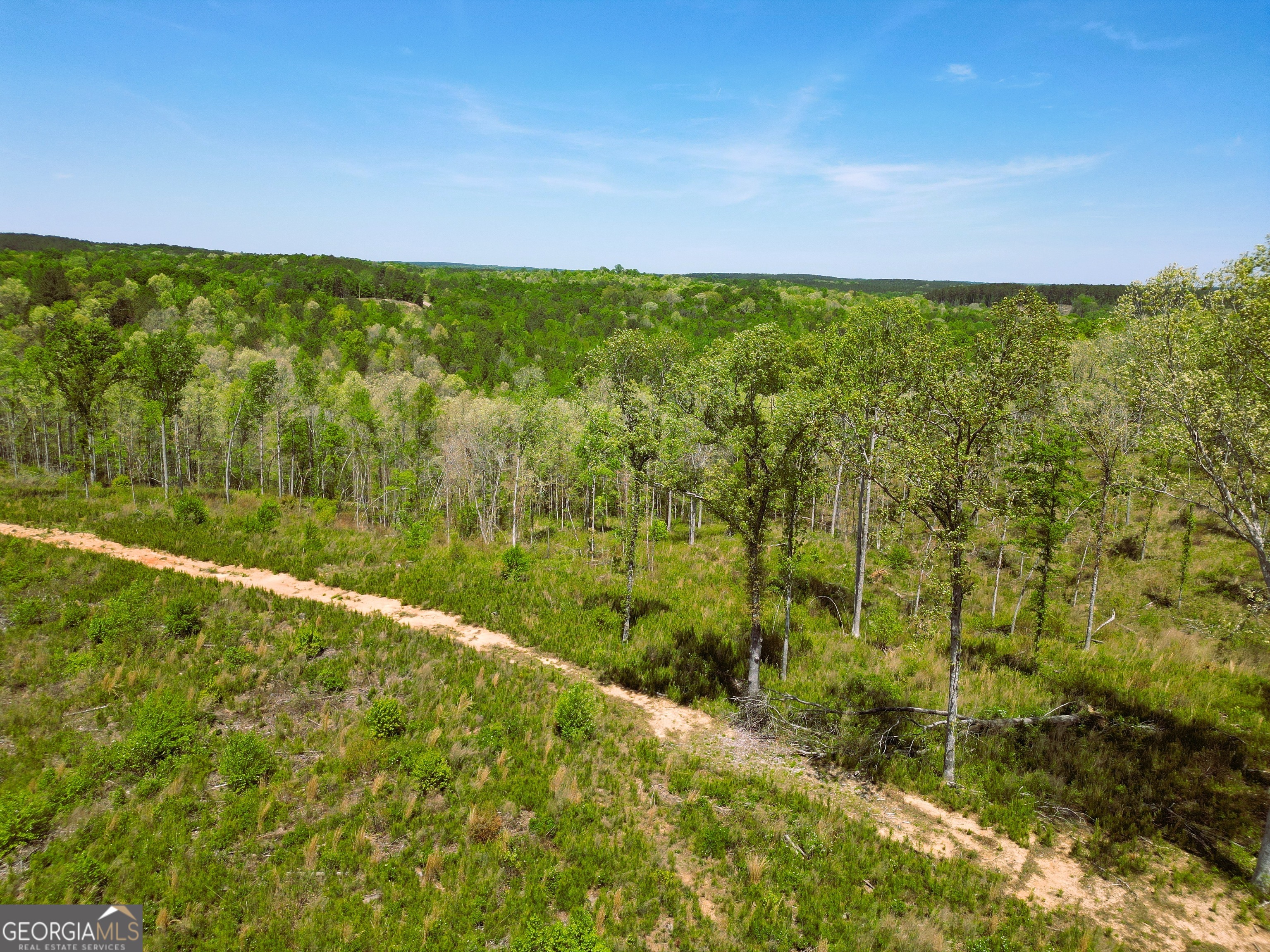 0 Sand Hill Road Bowman GA 30624