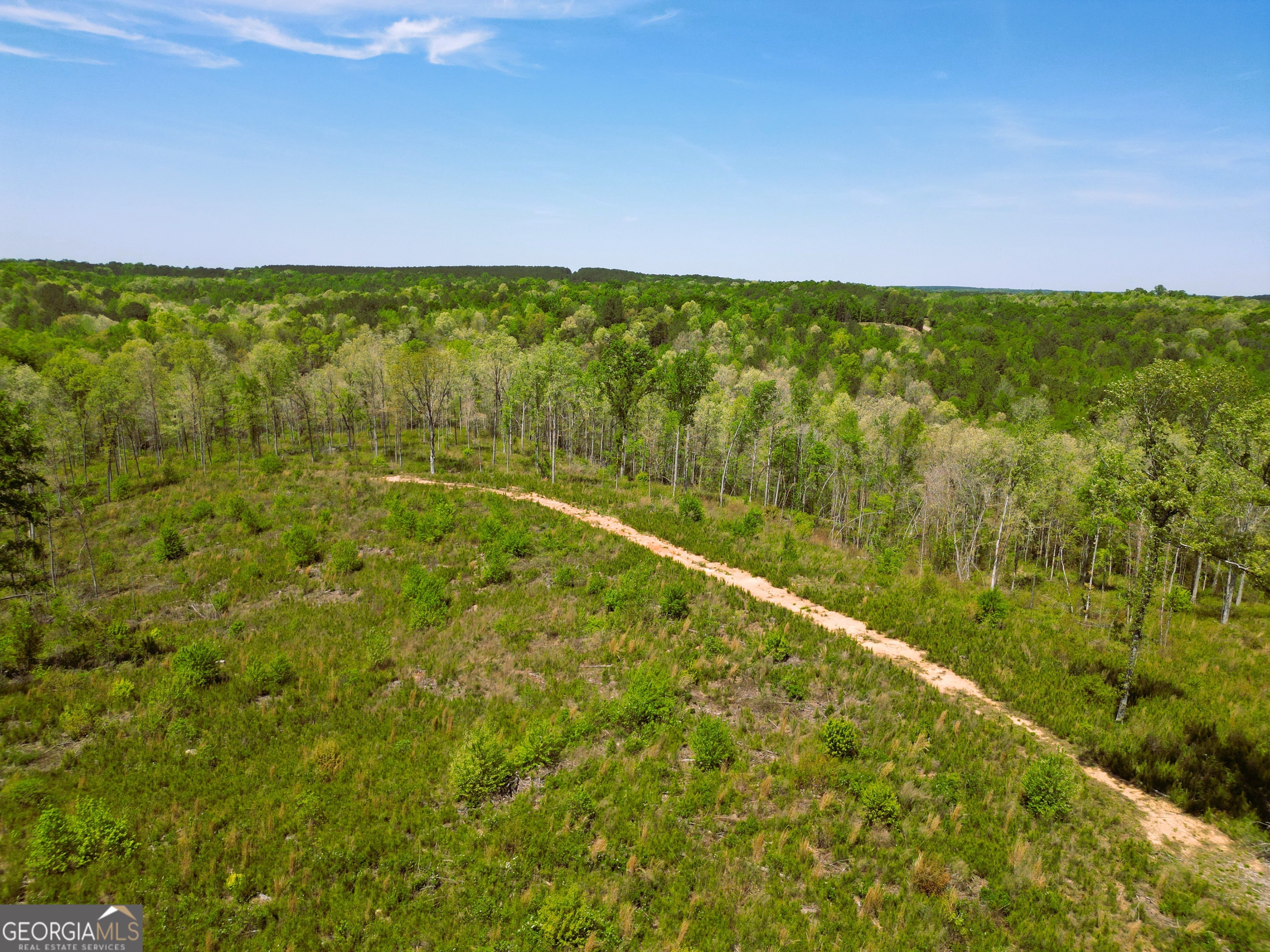 0 Sand Hill Road Bowman GA 30624