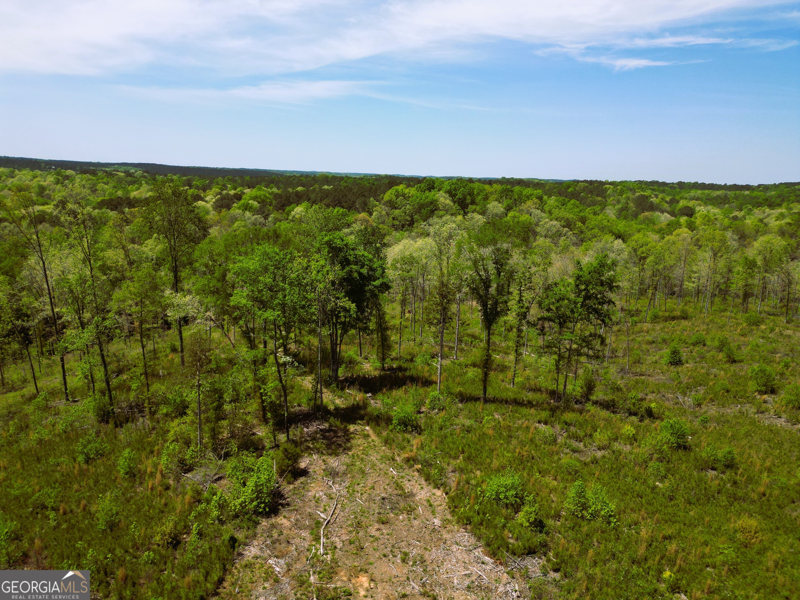0 Sand Hill Road Bowman GA 30624