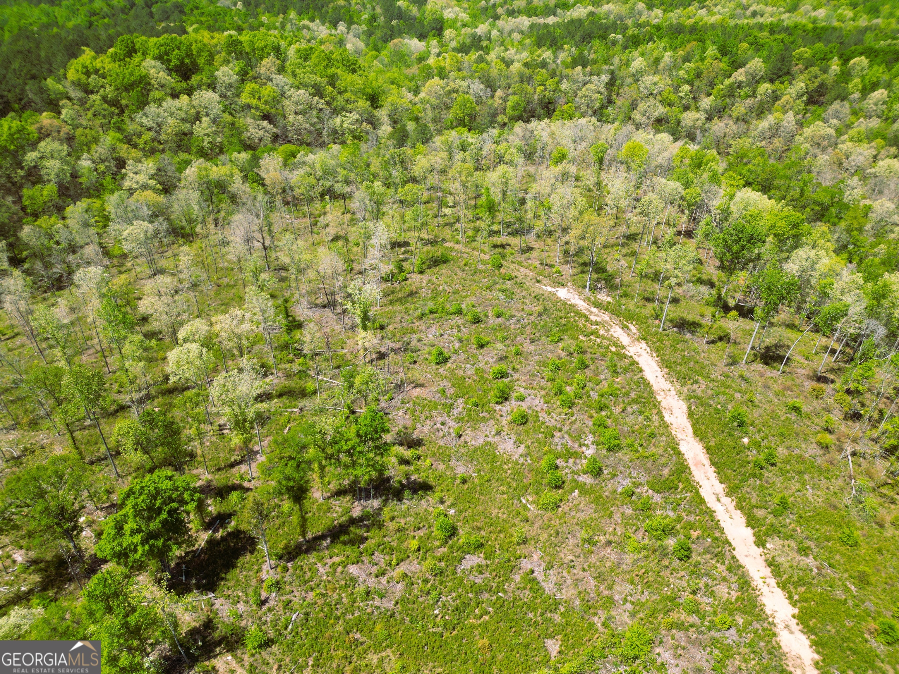 0 Sand Hill Road Bowman GA 30624