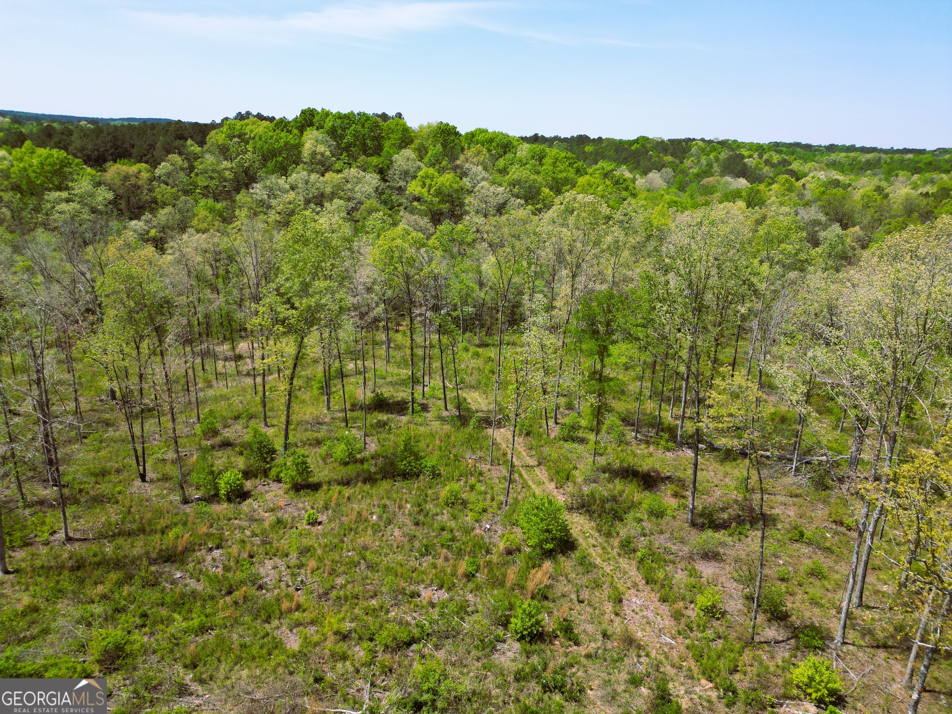 0 Sand Hill Road Bowman GA 30624