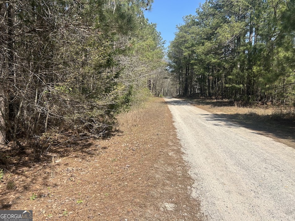 2A Clower Drive Bowdon GA 30108