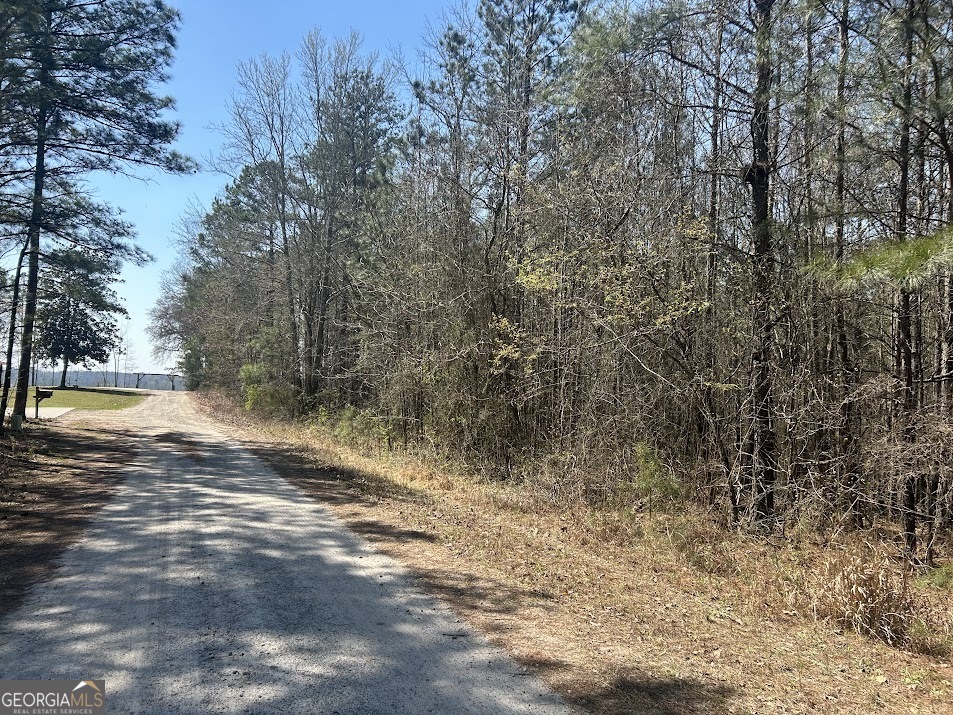 2A Clower Drive Bowdon GA 30108