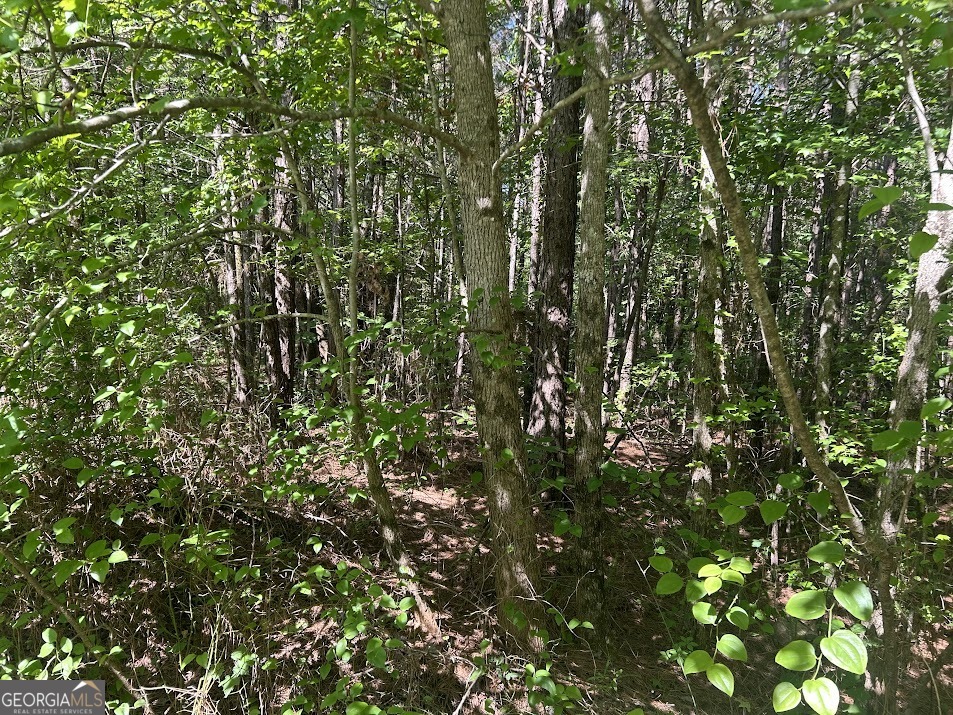 2A Clower Drive Bowdon GA 30108