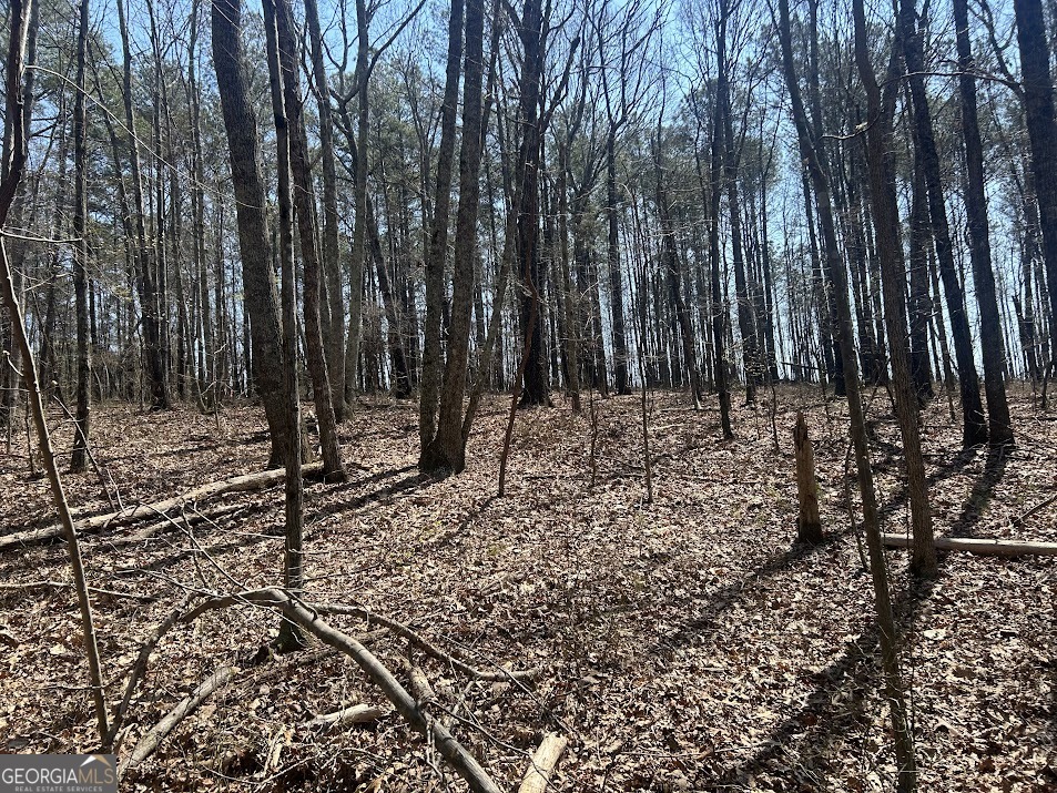 2A Clower Drive Bowdon GA 30108