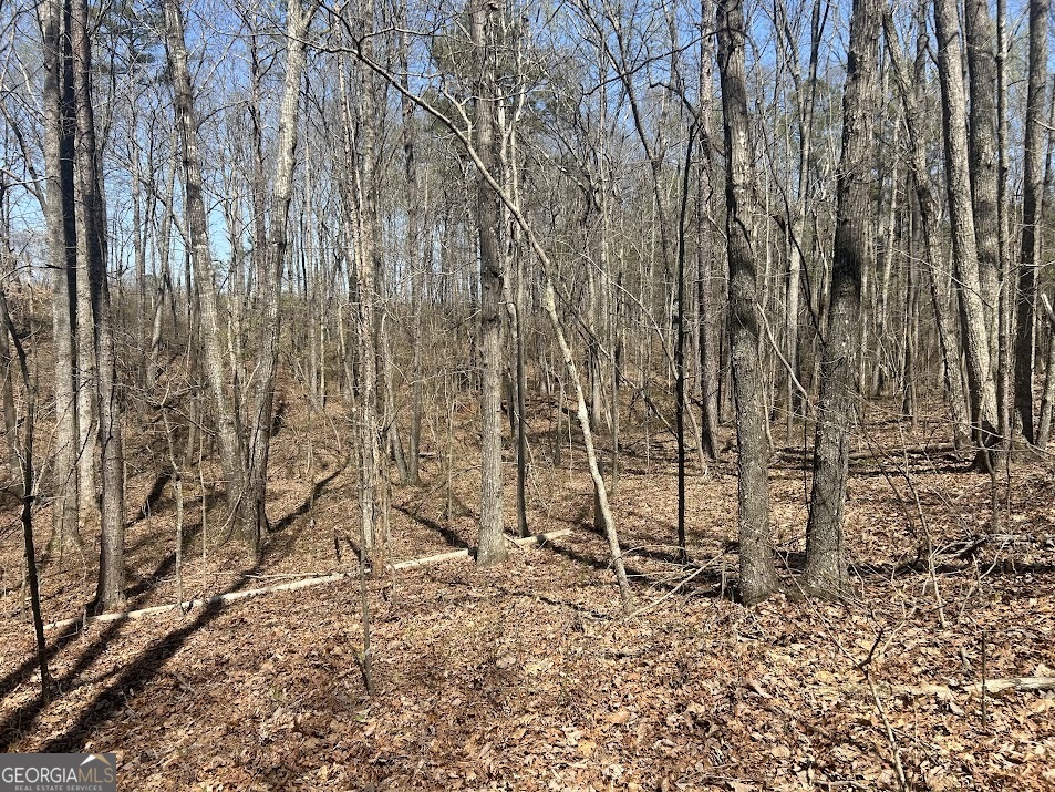 2A Clower Drive Bowdon GA 30108