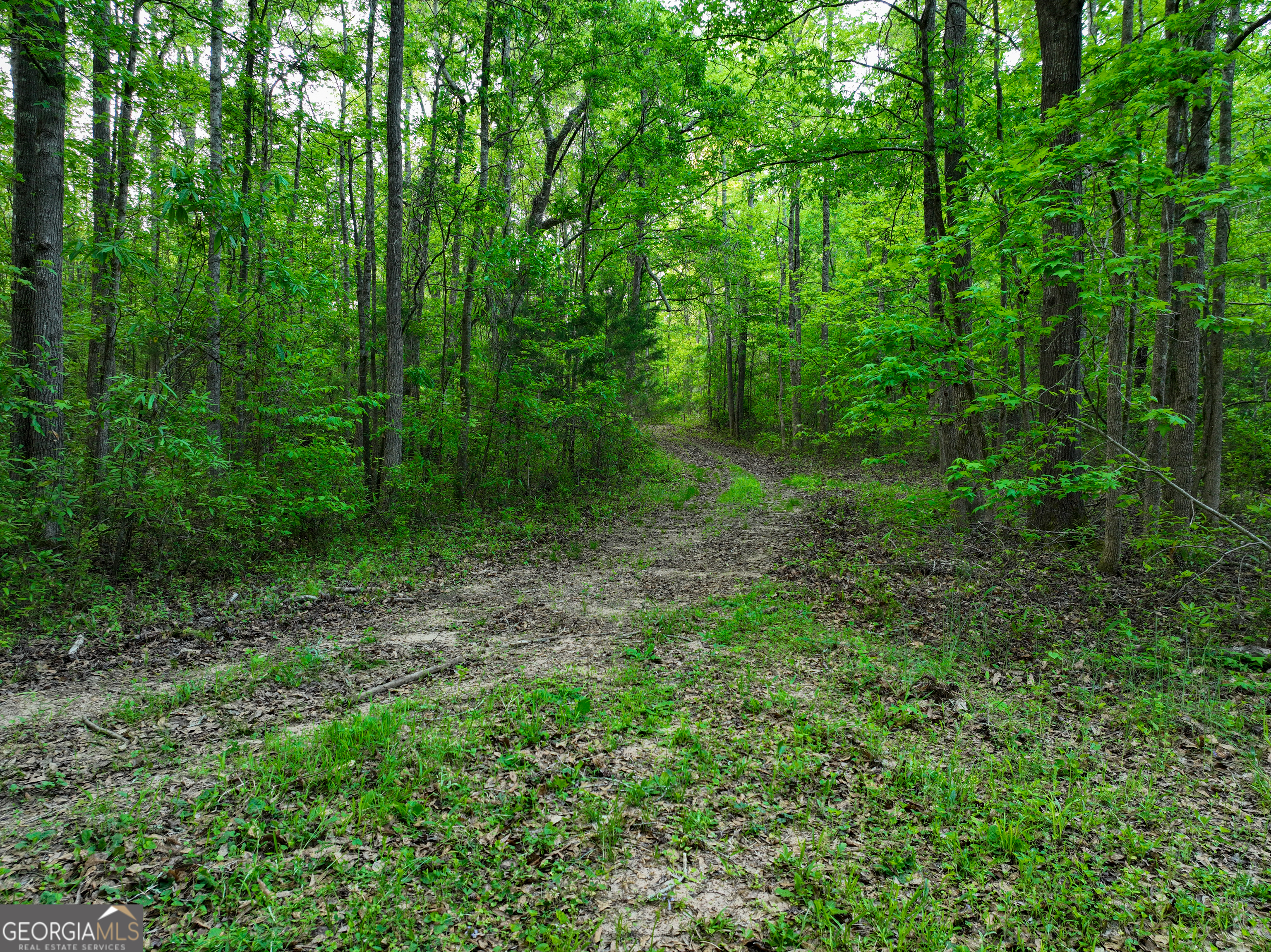 56 Ivey Circle Forsyth GA 31029