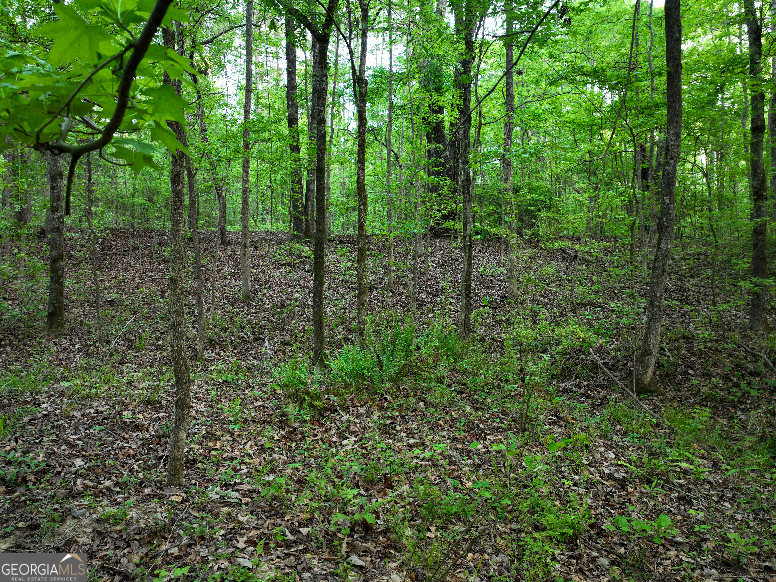 56 Ivey Circle Forsyth GA 31029