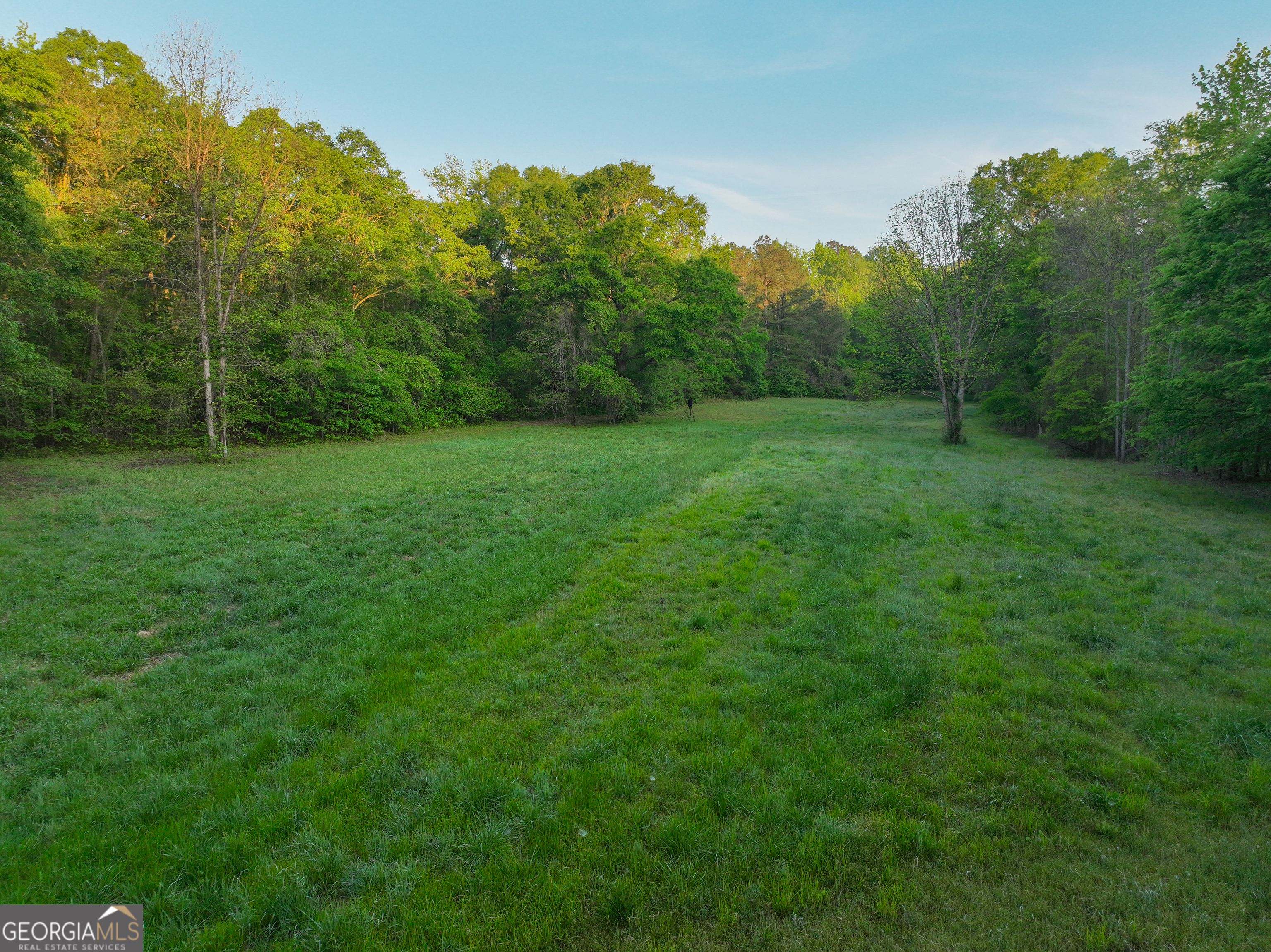 56 Ivey Circle Forsyth GA 31029
