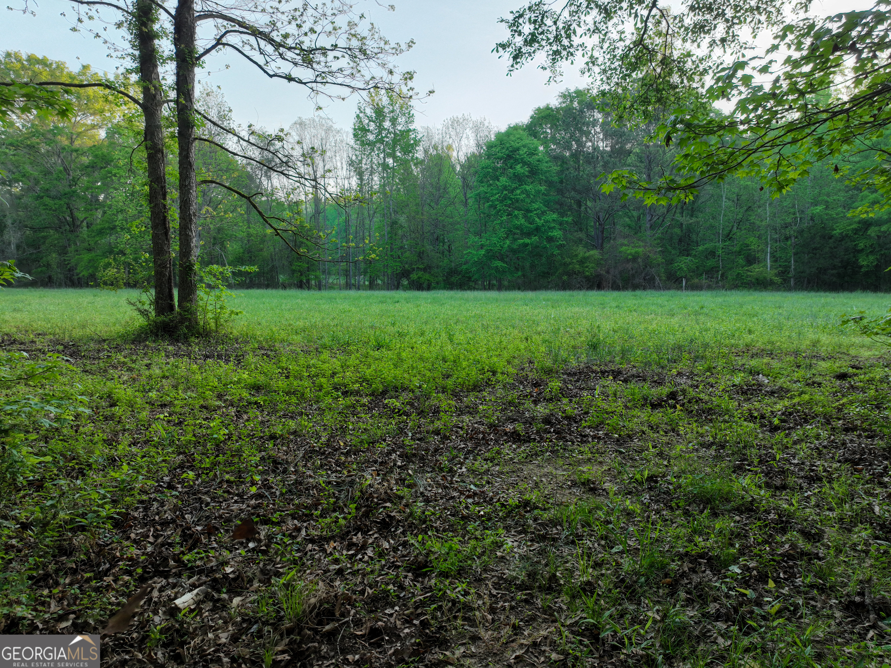 56 Ivey Circle Forsyth GA 31029