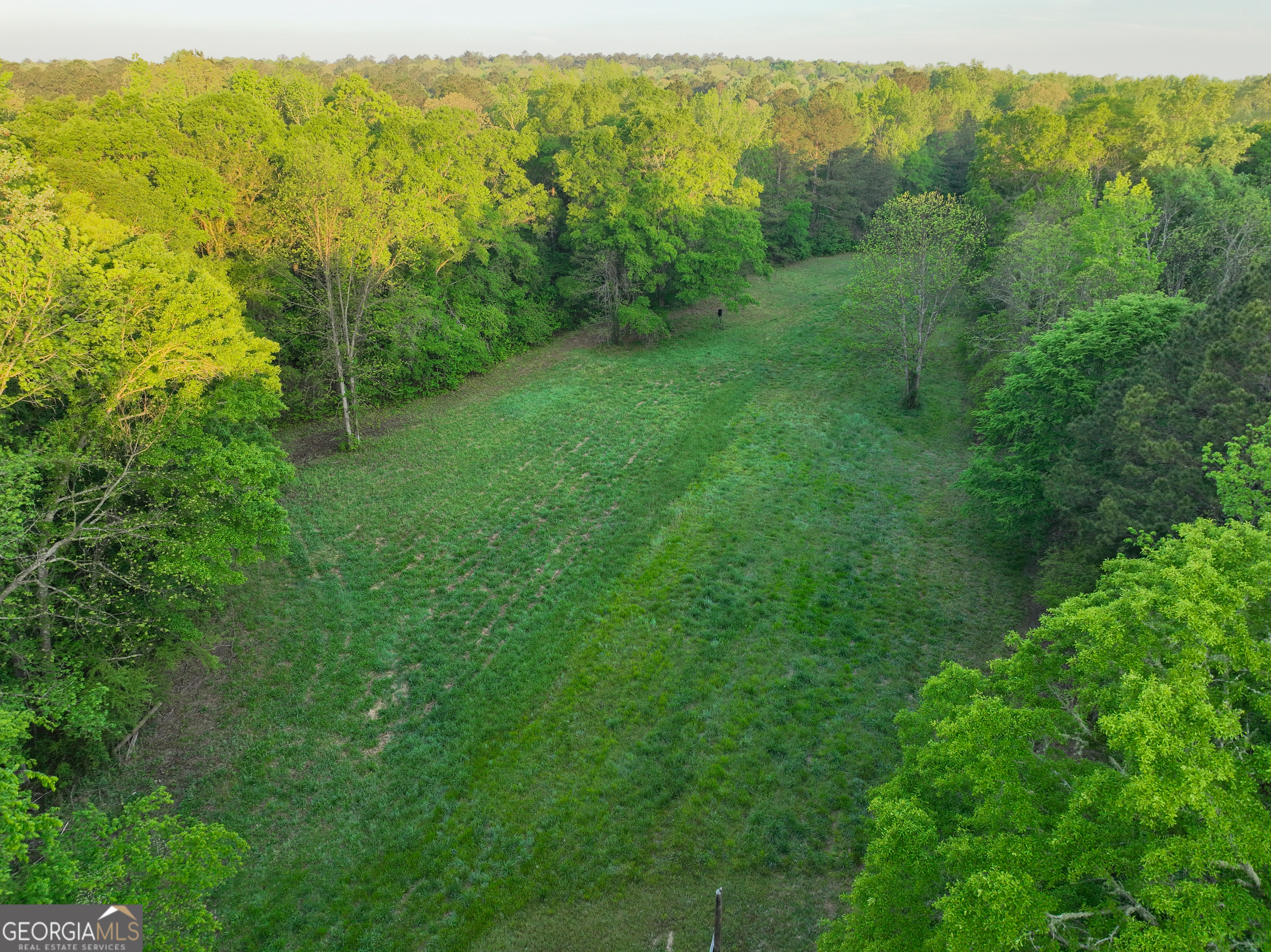 56 Ivey Circle Forsyth GA 31029