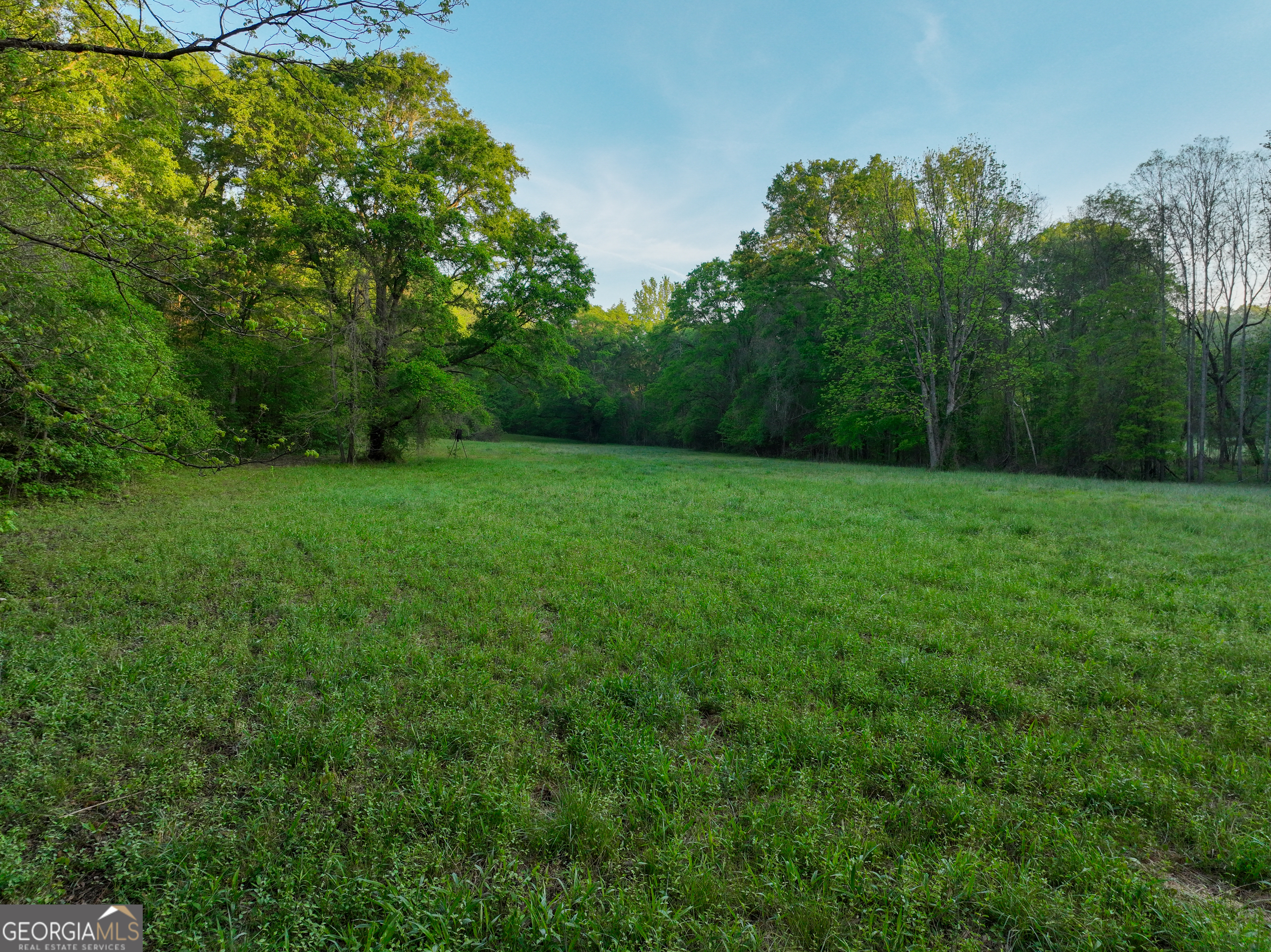 56 Ivey Circle Forsyth GA 31029