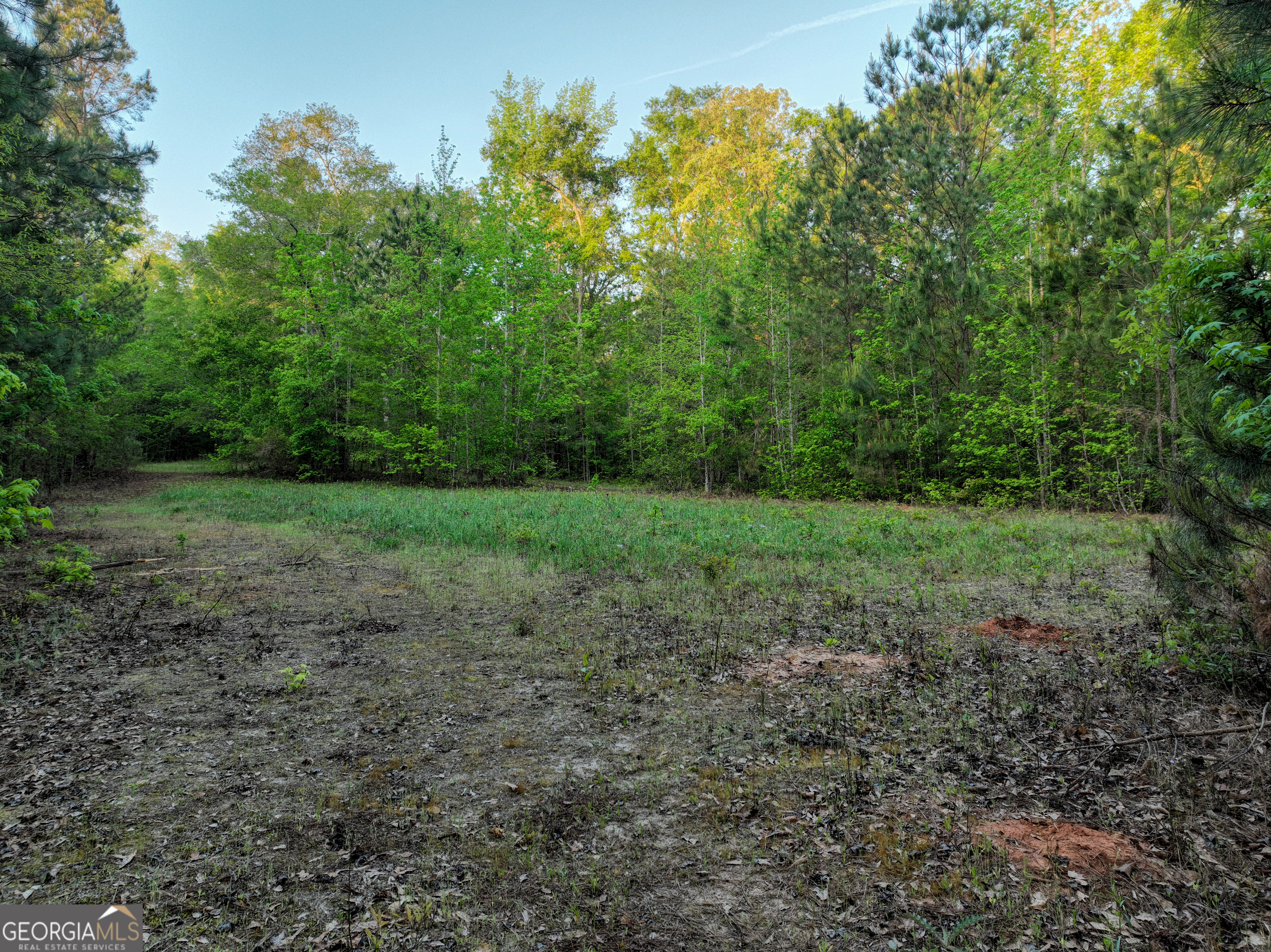 56 Ivey Circle Forsyth GA 31029