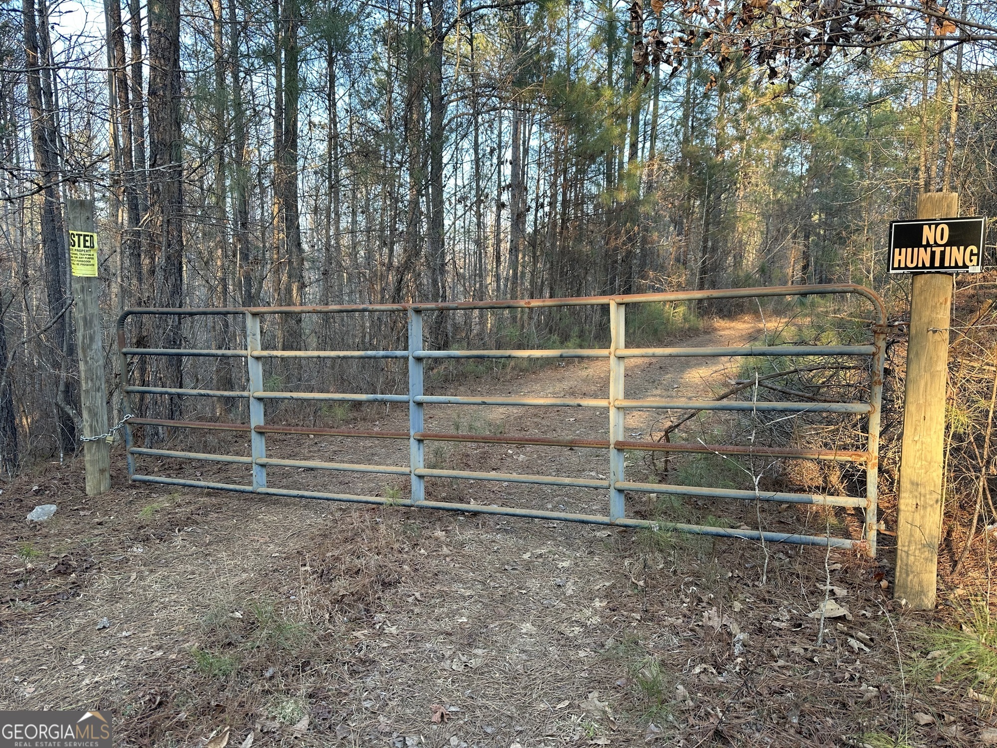 0 - Tract 4 Mount Zion Church Road Whitesburg GA 30185