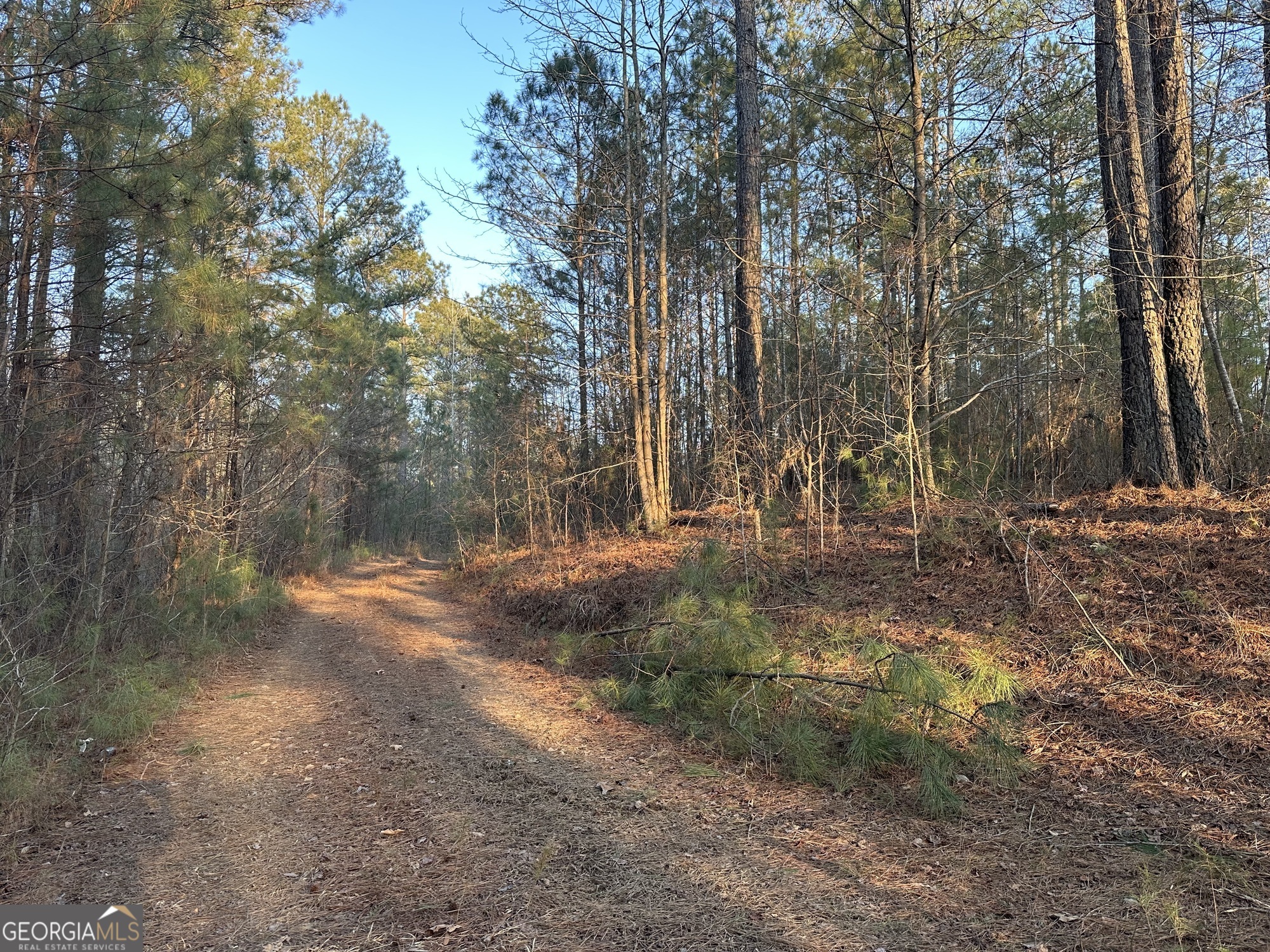 0 - Tract 4 Mount Zion Church Road Whitesburg GA 30185