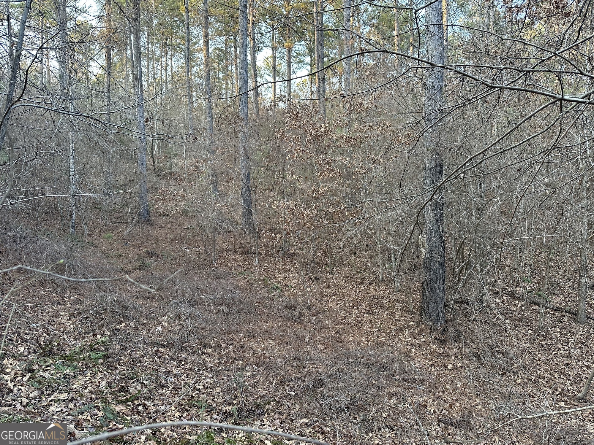0 - Tract 4 Mount Zion Church Road Whitesburg GA 30185