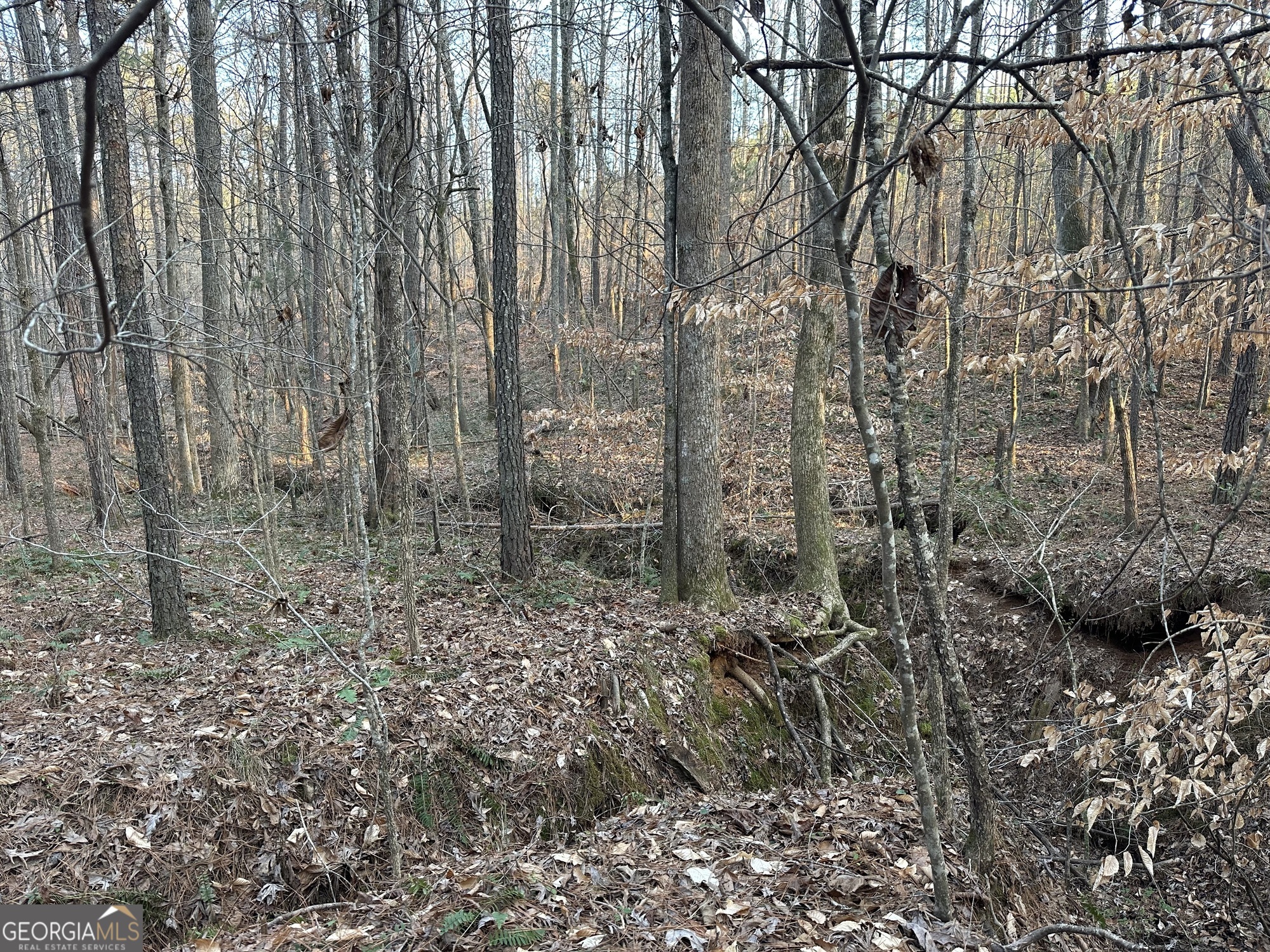 0 - Tract 4 Mount Zion Church Road Whitesburg GA 30185