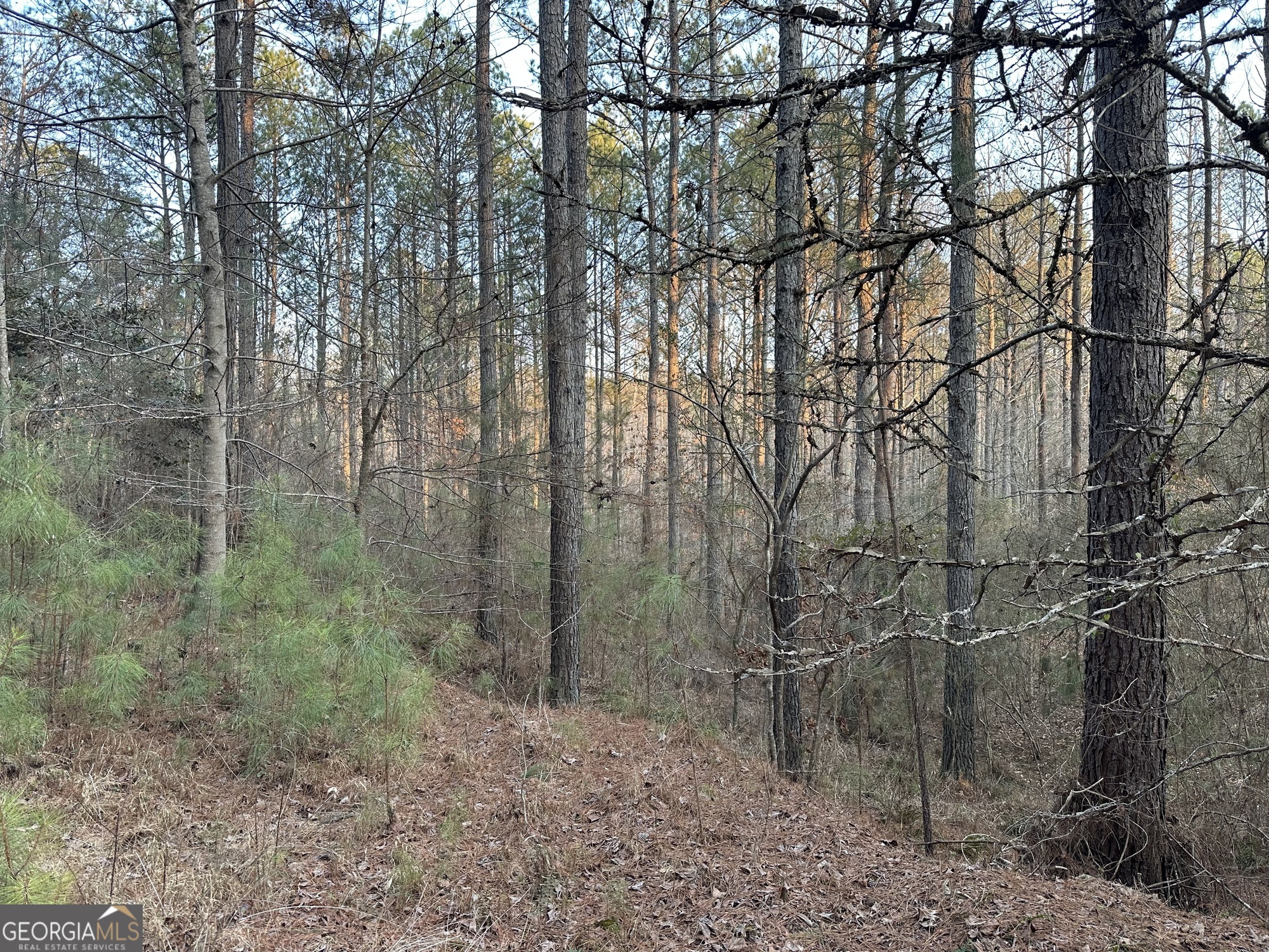 0 - Tract 4 Mount Zion Church Road Whitesburg GA 30185