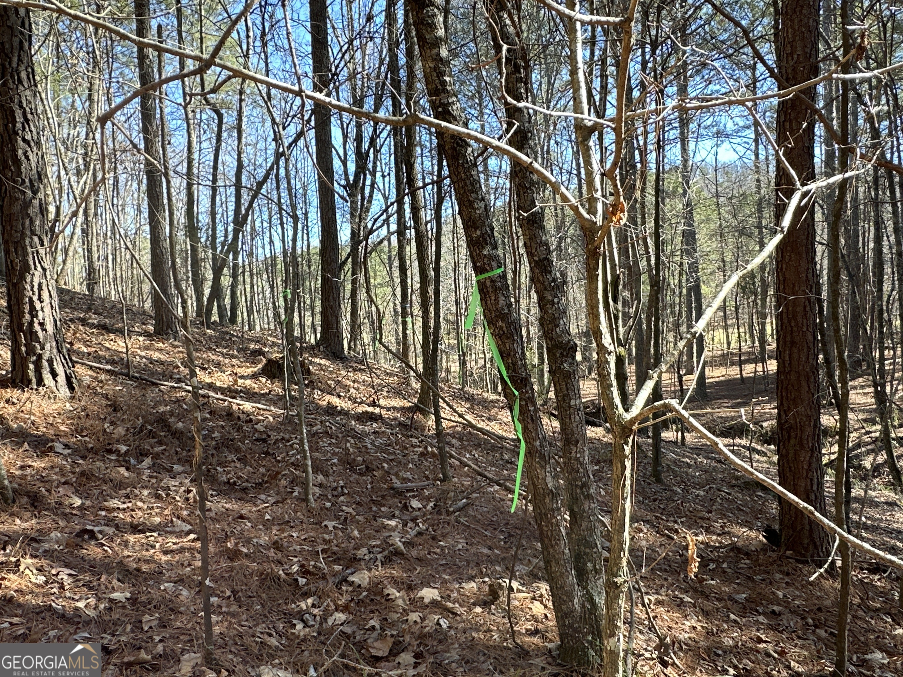 3472 Prior Station Road Cedartown GA 30125