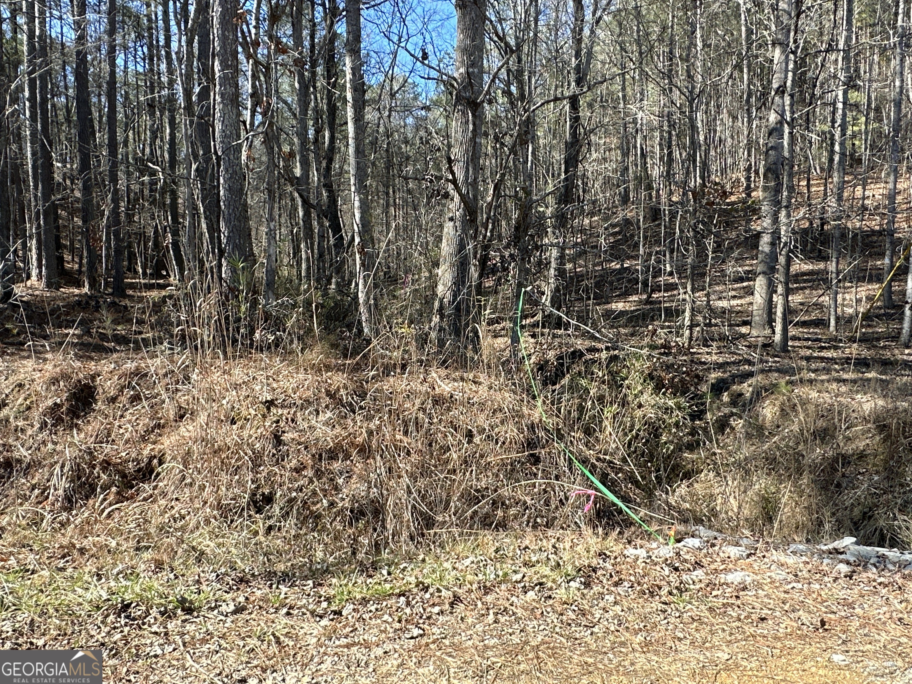3472 Prior Station Road Cedartown GA 30125