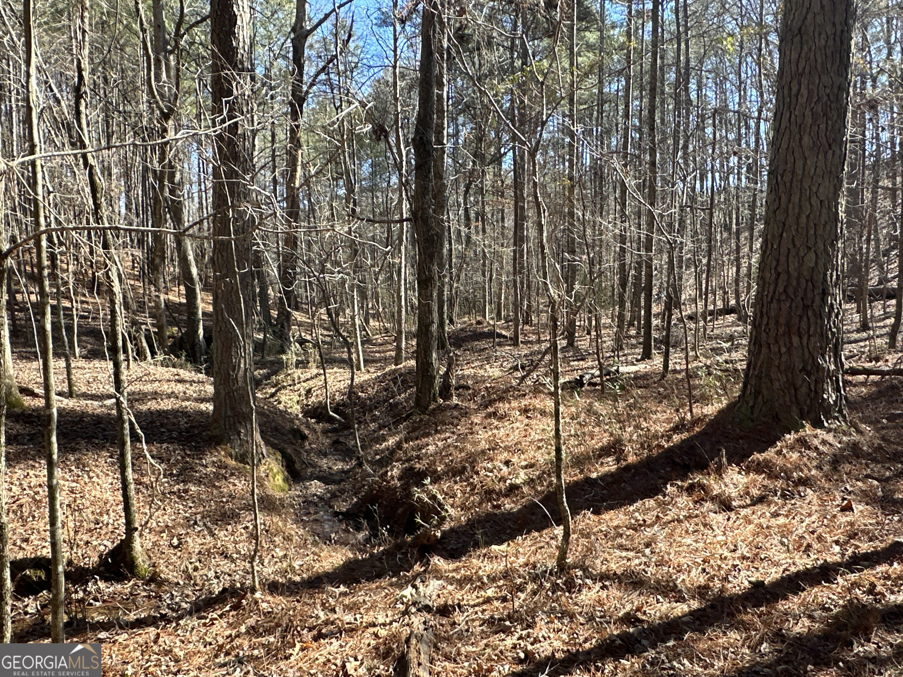 3472 Prior Station Road Cedartown GA 30125