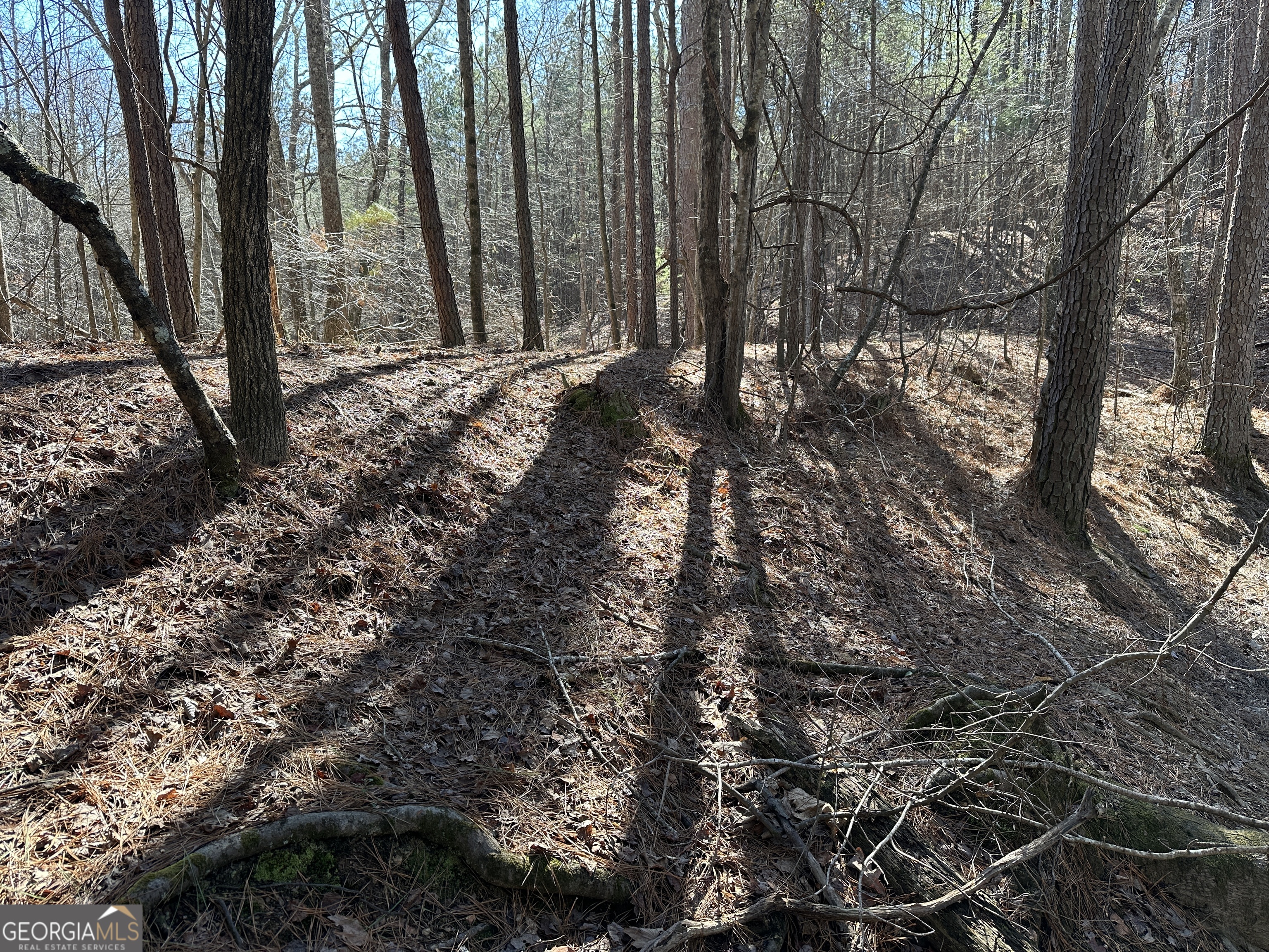 3472 Prior Station Road Cedartown GA 30125