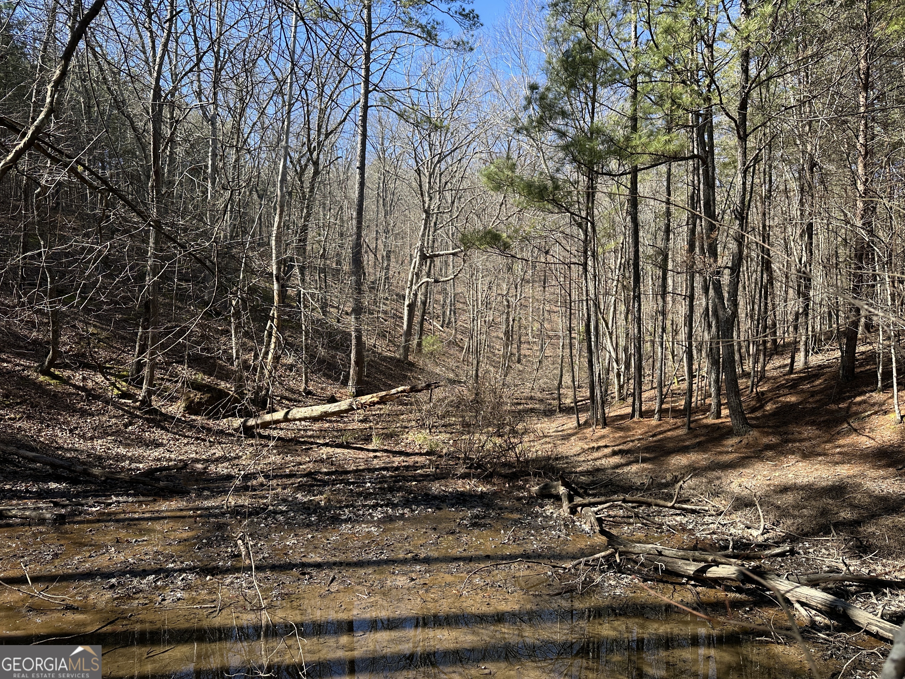 3472 Prior Station Road Cedartown GA 30125