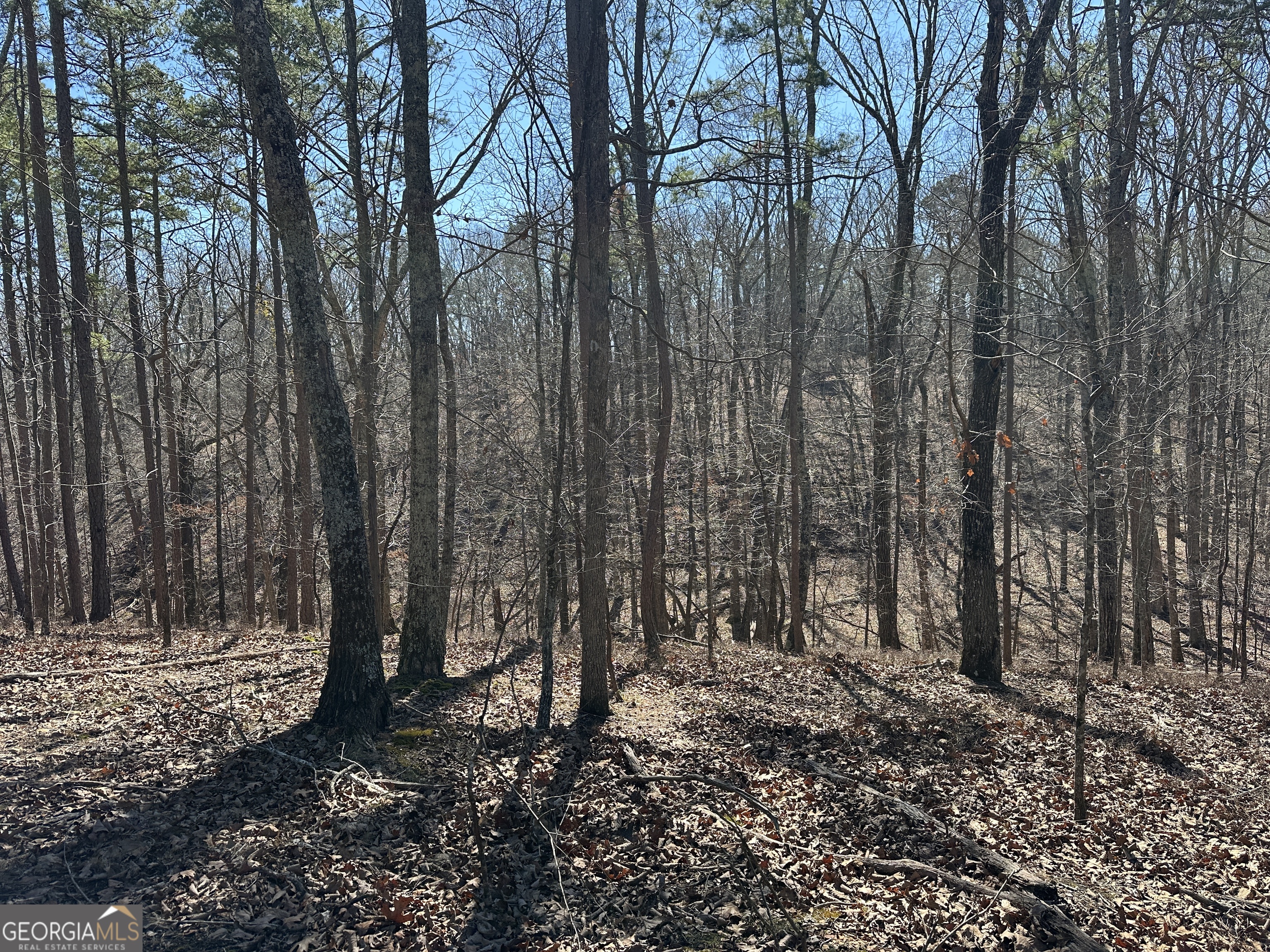 3472 Prior Station Road Cedartown GA 30125