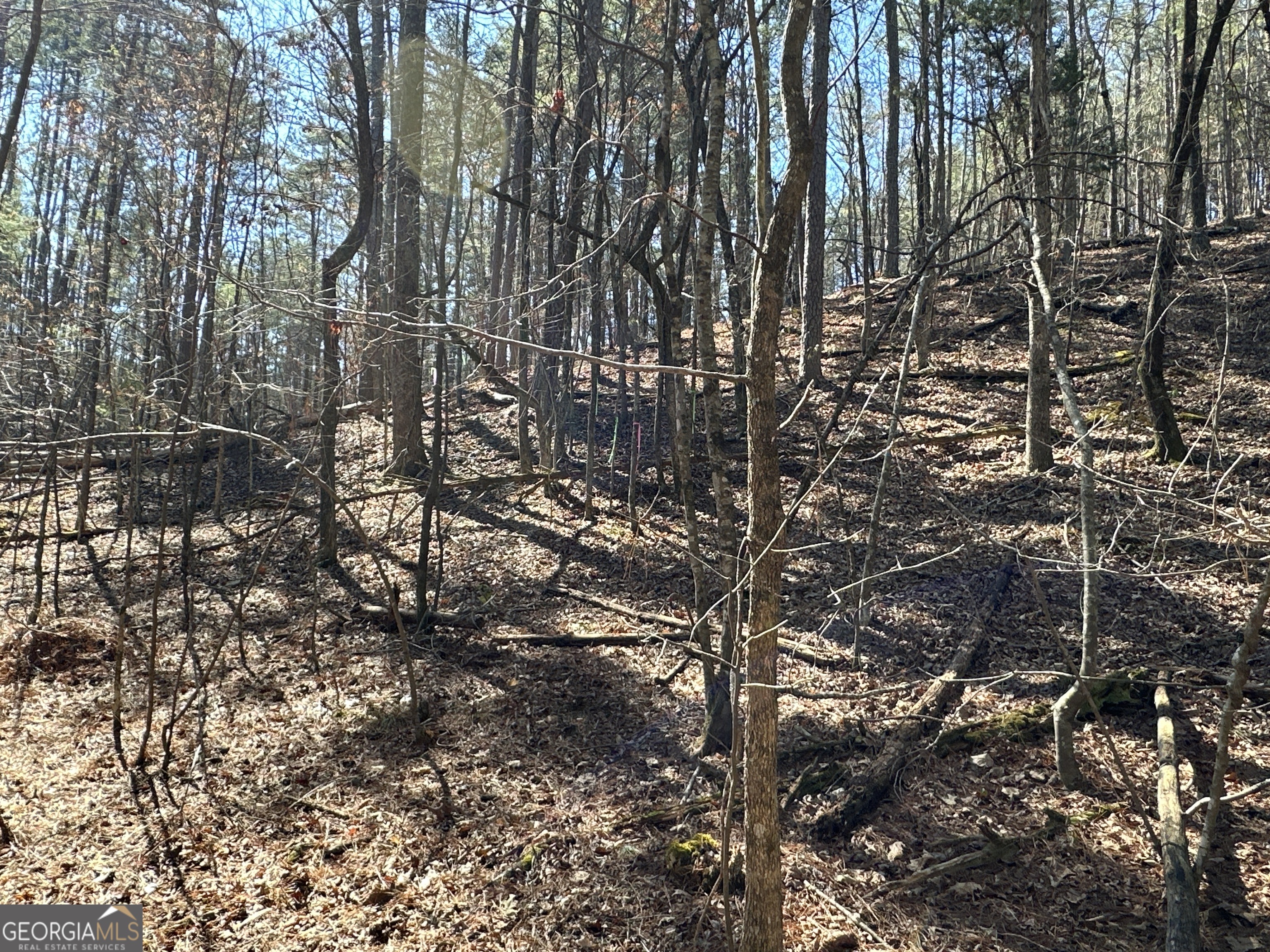 3472 Prior Station Road Cedartown GA 30125