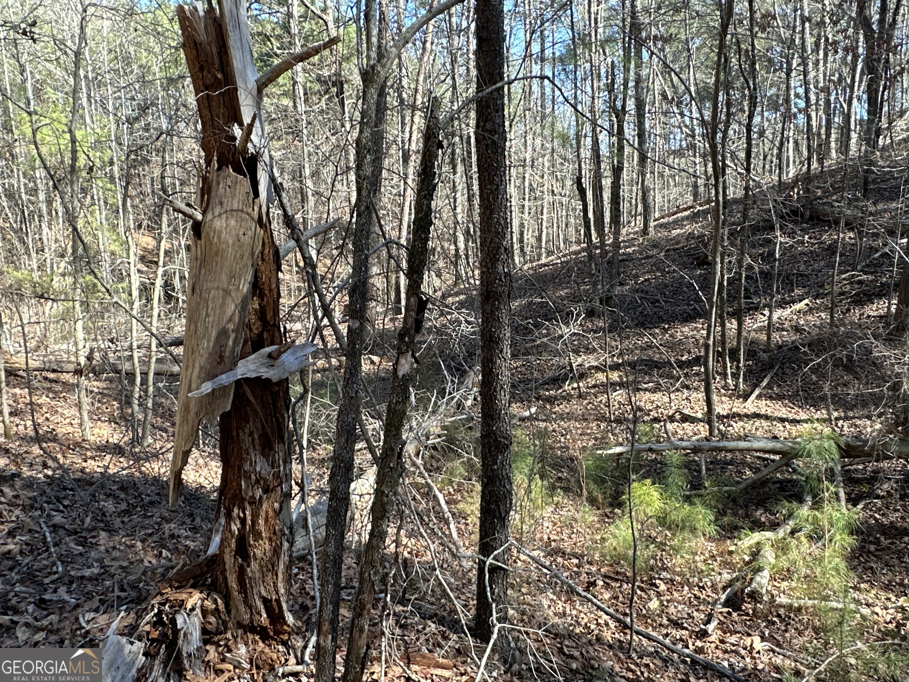 3472 Prior Station Road Cedartown GA 30125