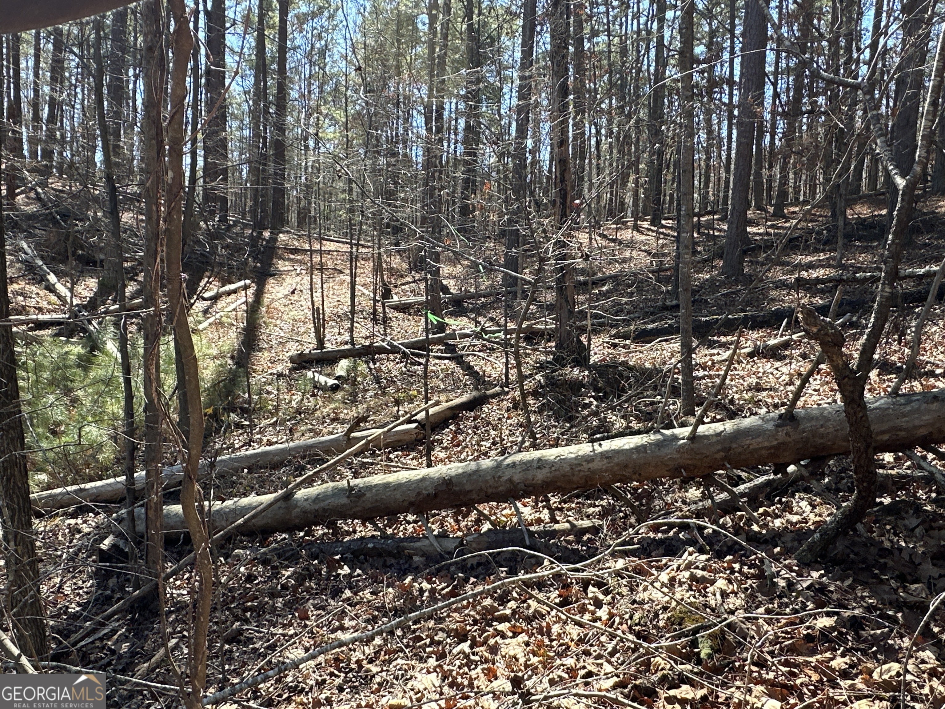 3472 Prior Station Road Cedartown GA 30125