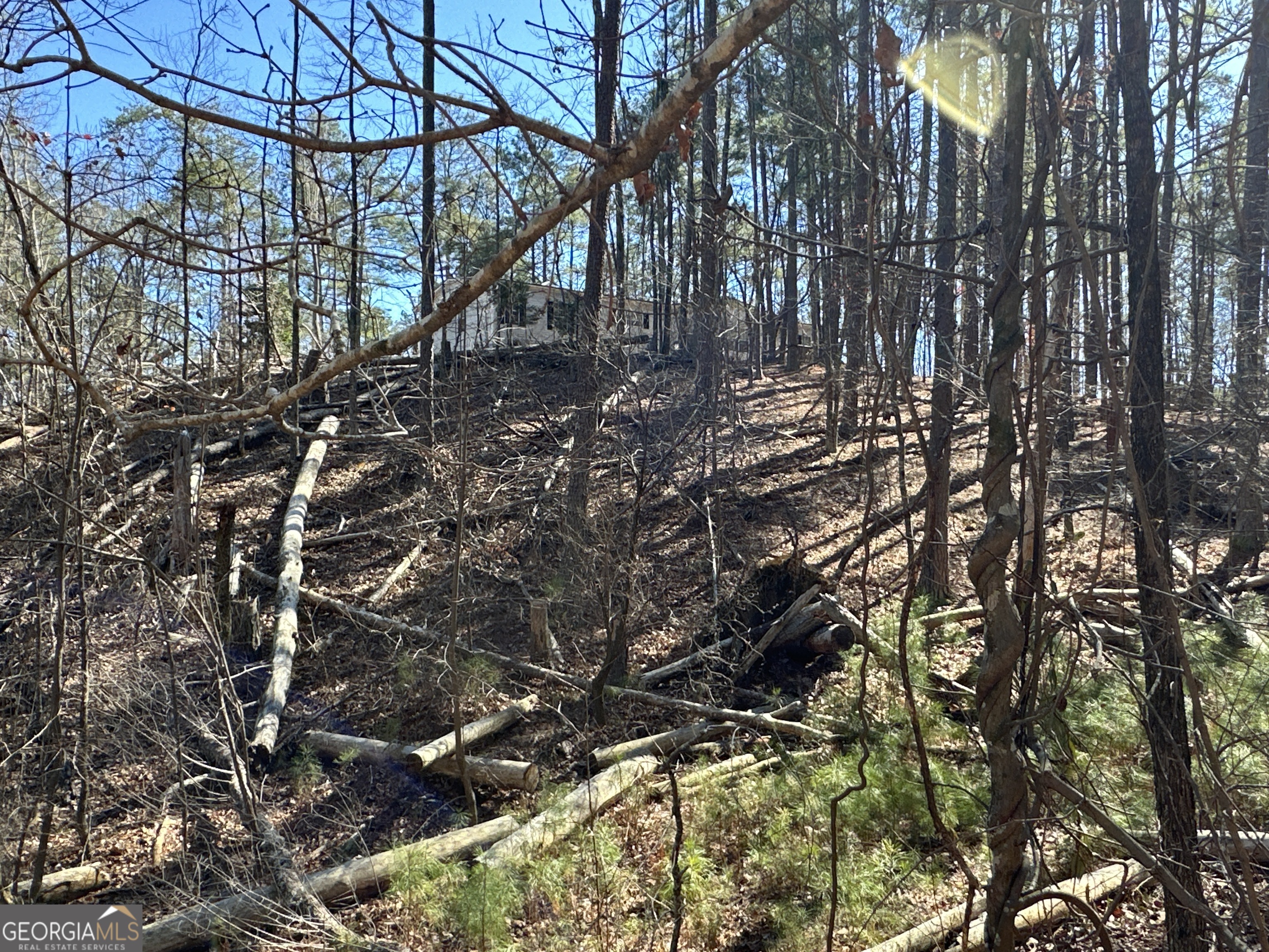3472 Prior Station Road Cedartown GA 30125