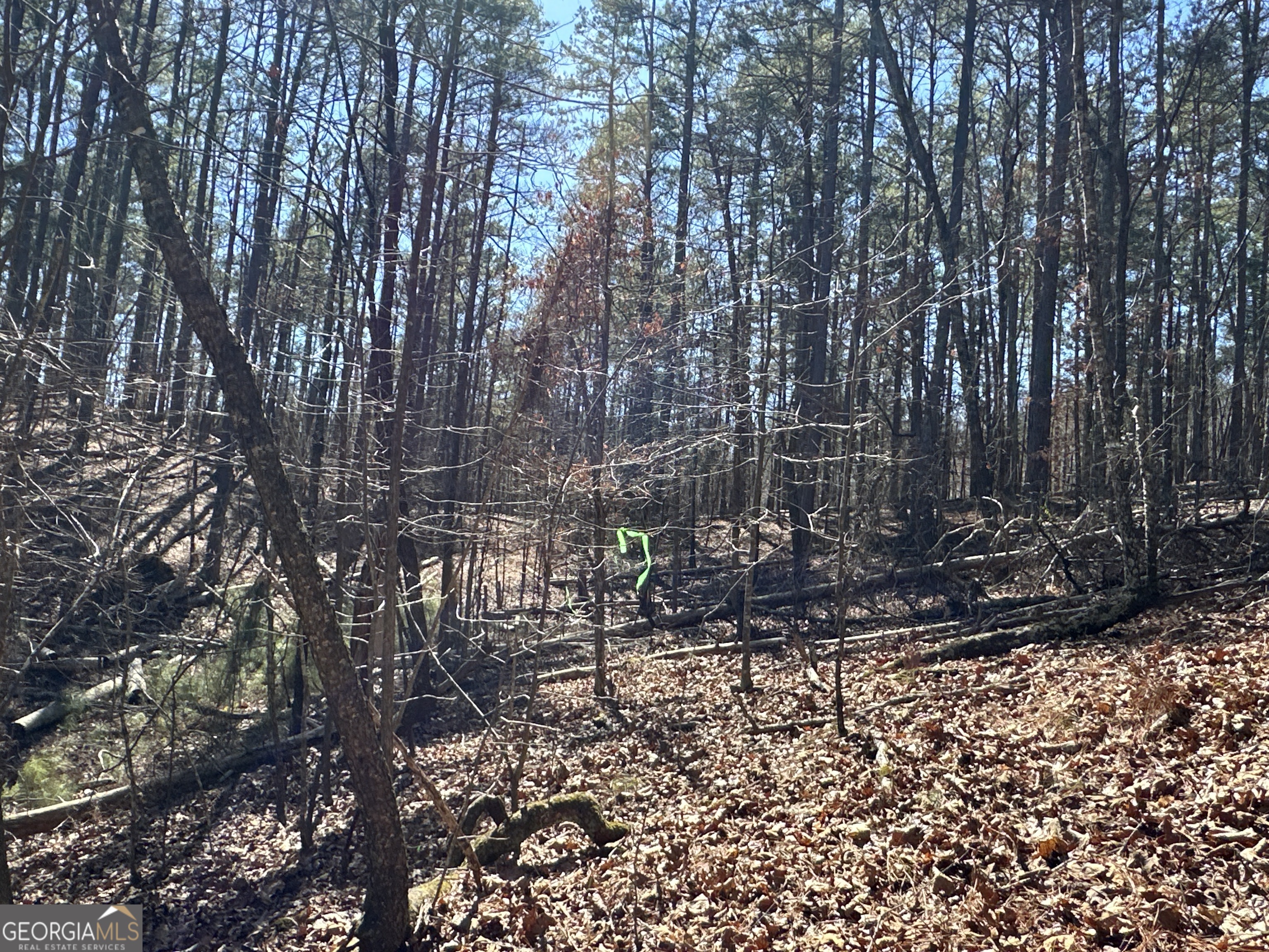 3472 Prior Station Road Cedartown GA 30125