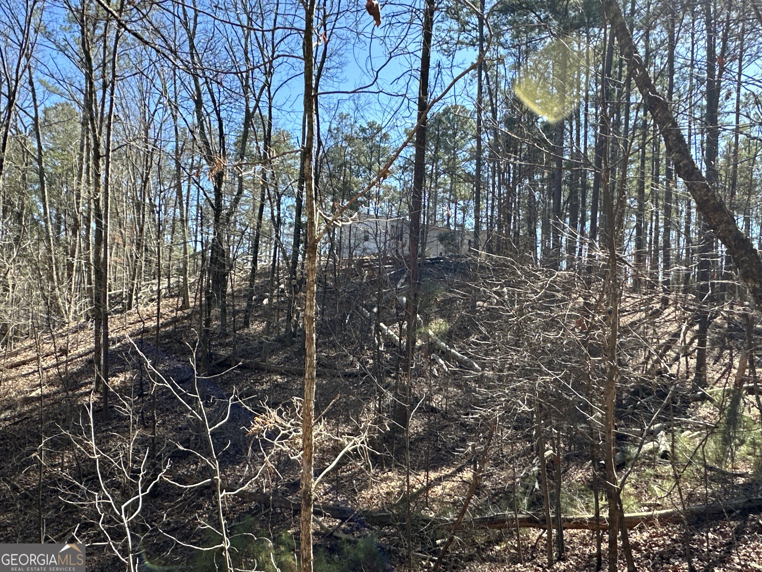 3472 Prior Station Road Cedartown GA 30125
