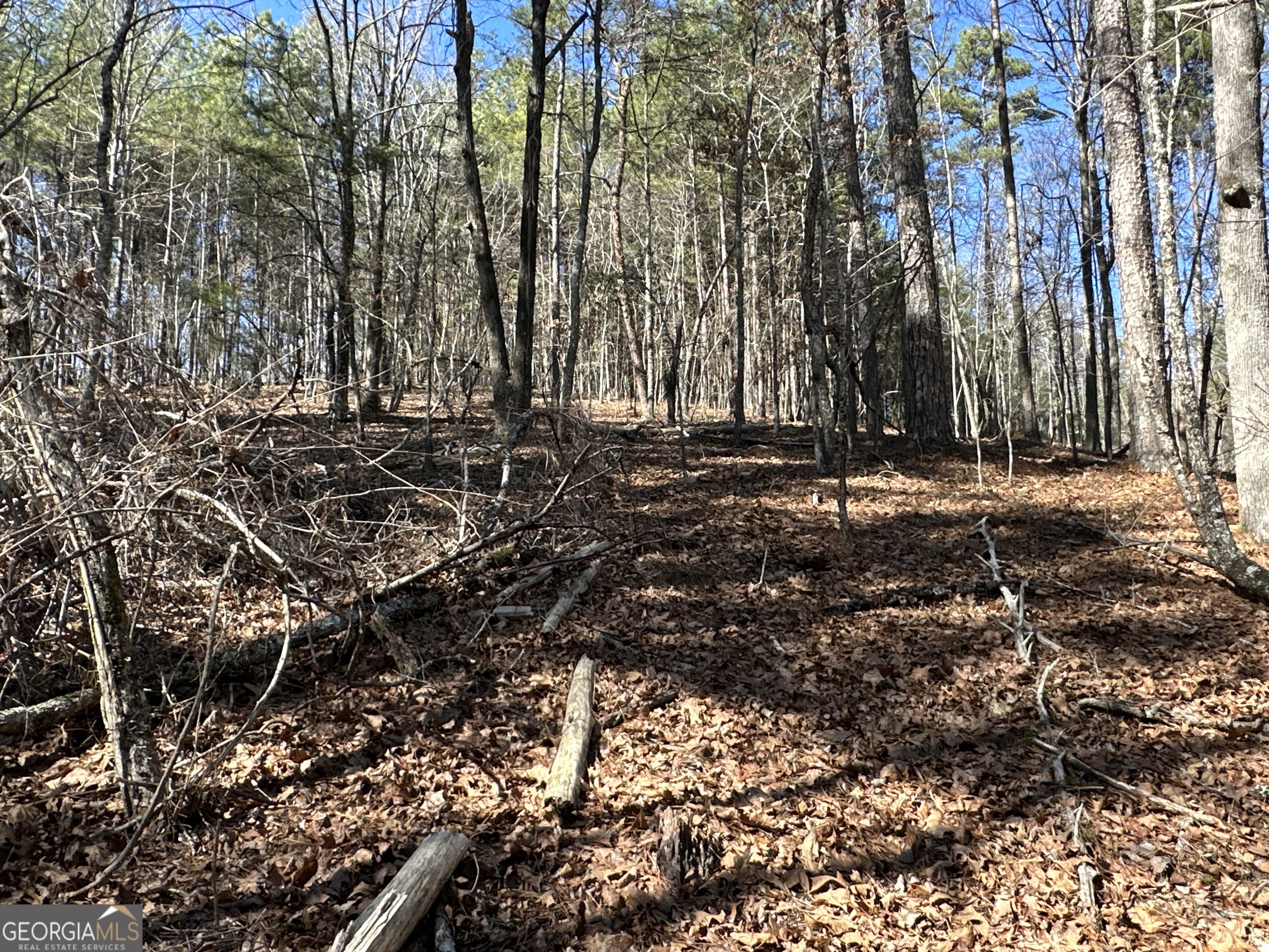 3472 Prior Station Road Cedartown GA 30125