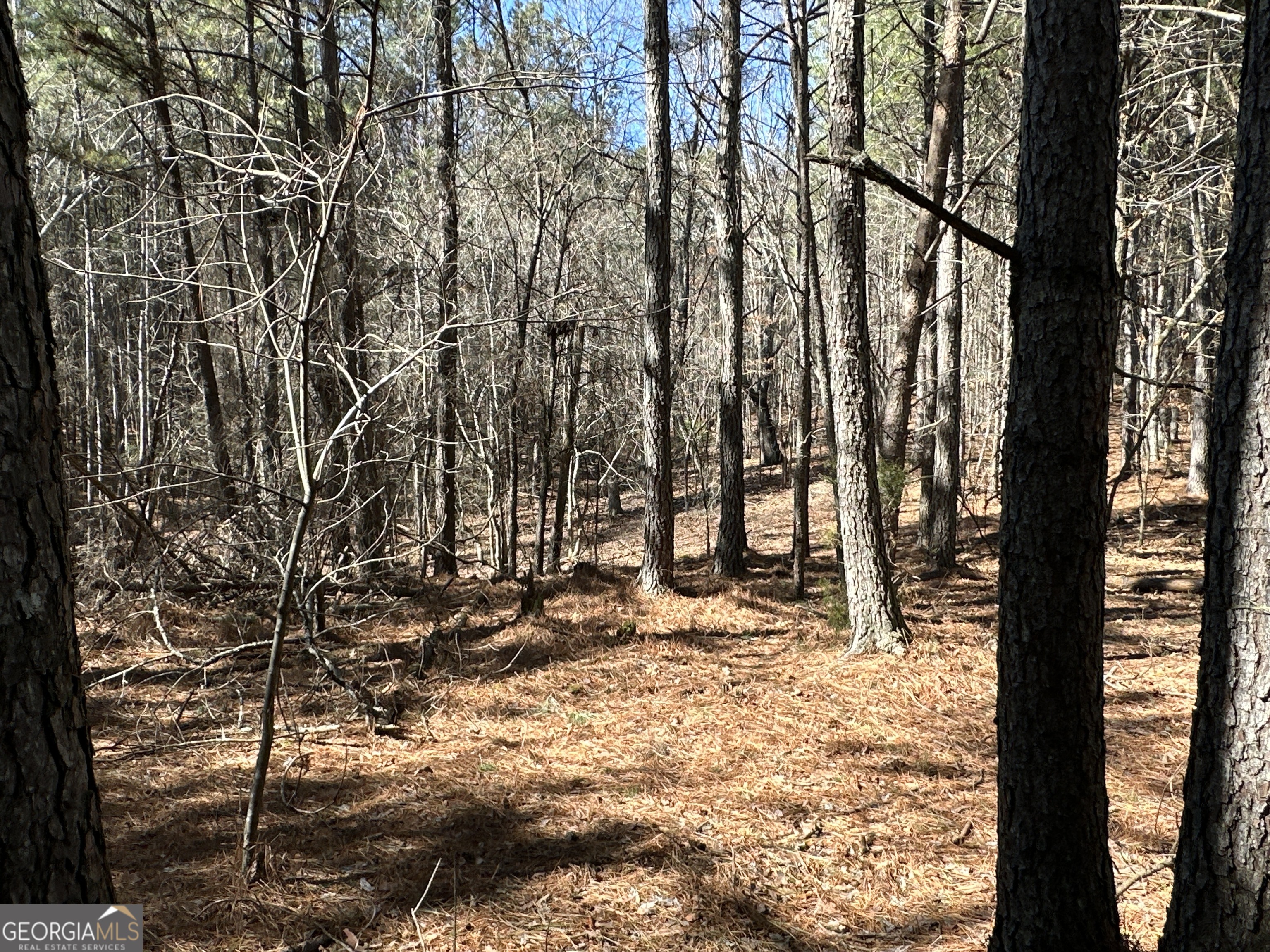 3472 Prior Station Road Cedartown GA 30125
