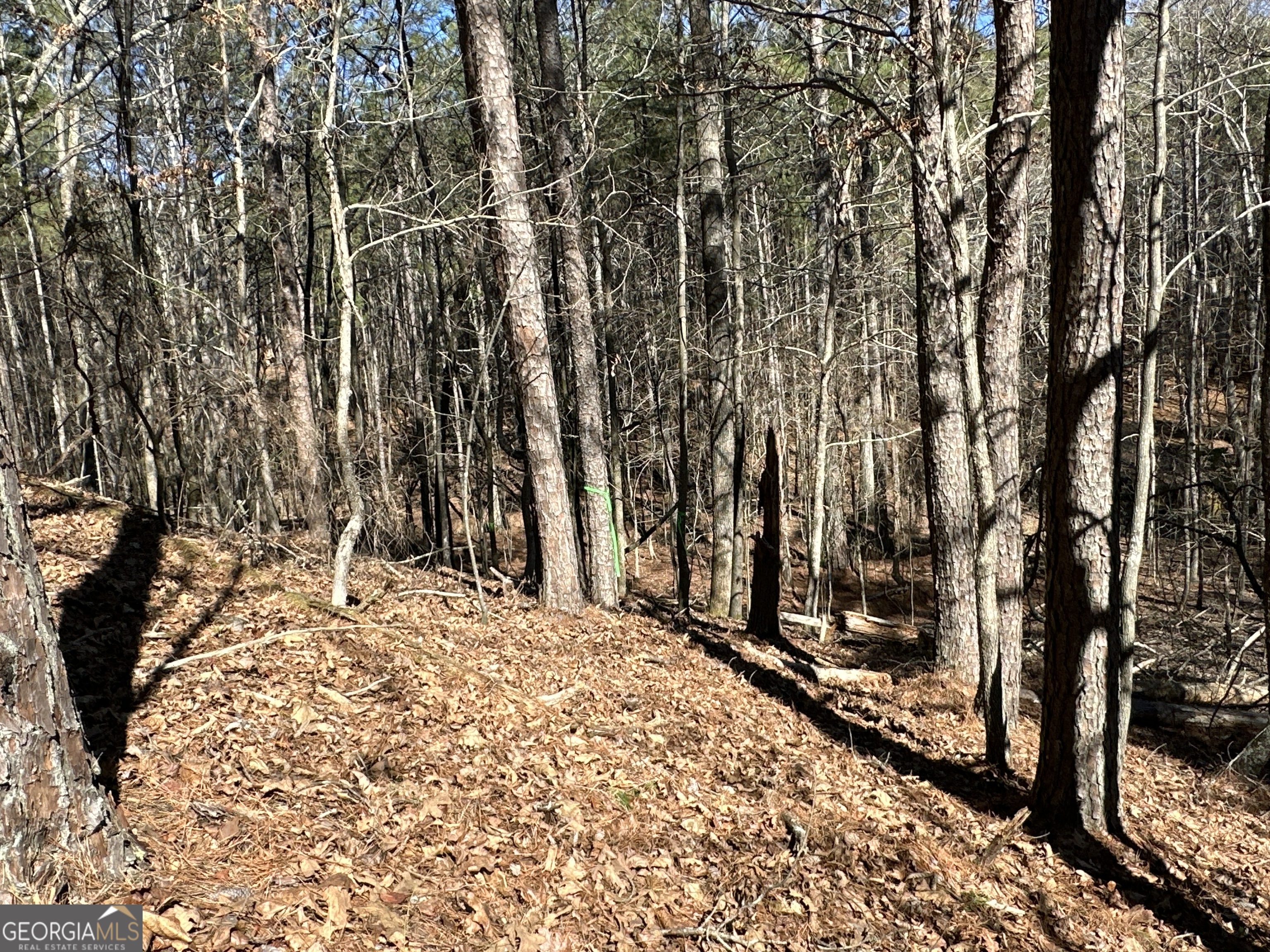 3472 Prior Station Road Cedartown GA 30125