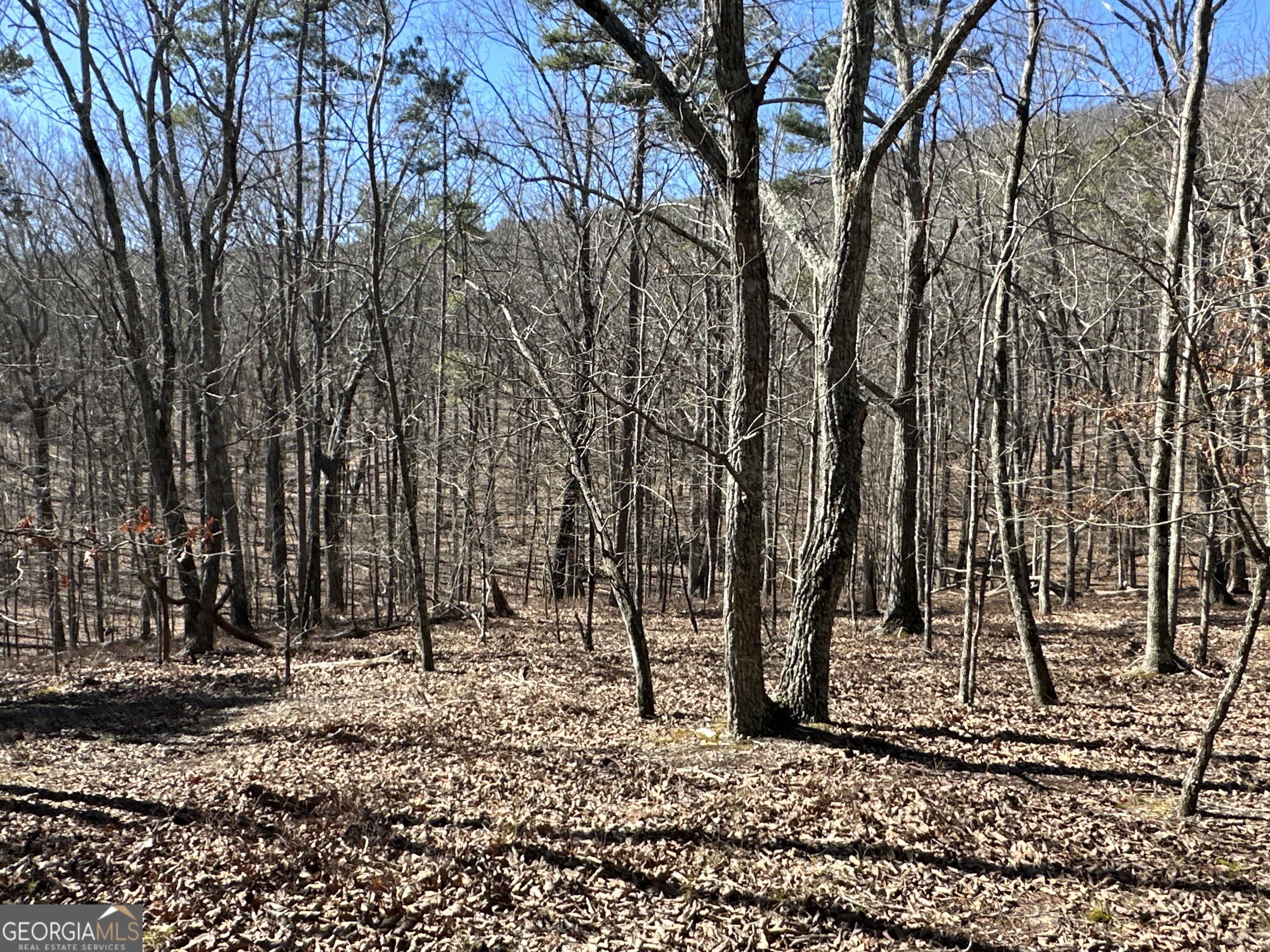3472 Prior Station Road Cedartown GA 30125