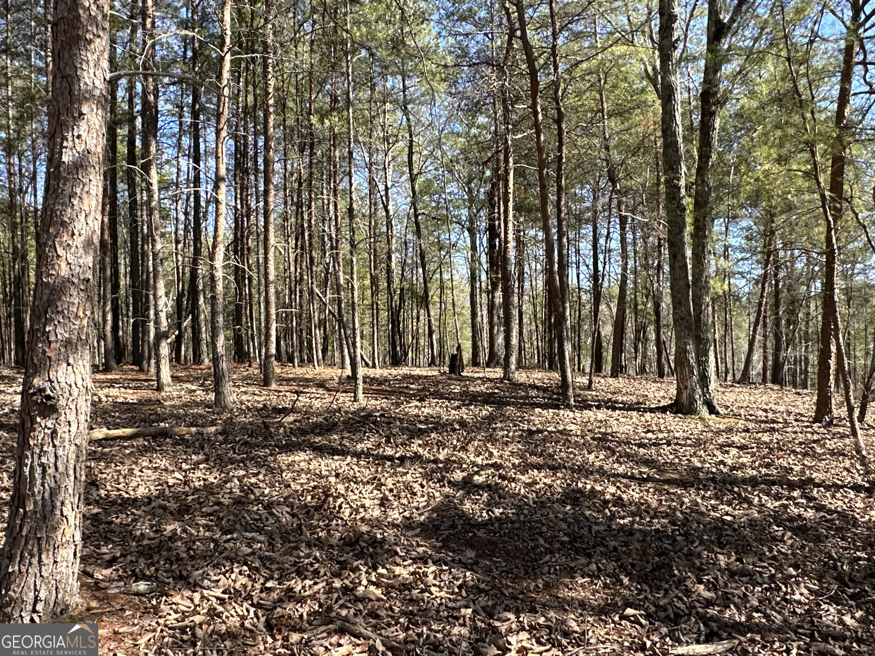 3472 Prior Station Road Cedartown GA 30125