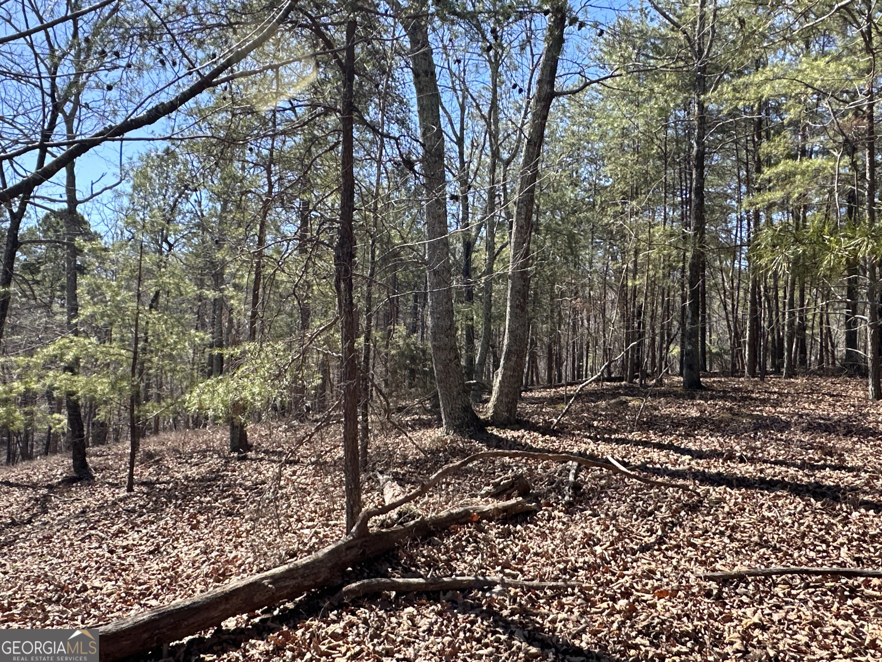3472 Prior Station Road Cedartown GA 30125