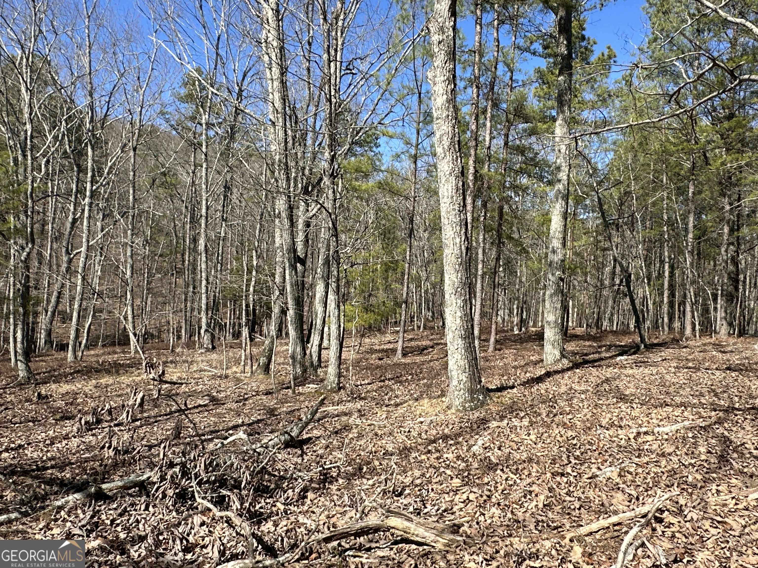 3472 Prior Station Road Cedartown GA 30125