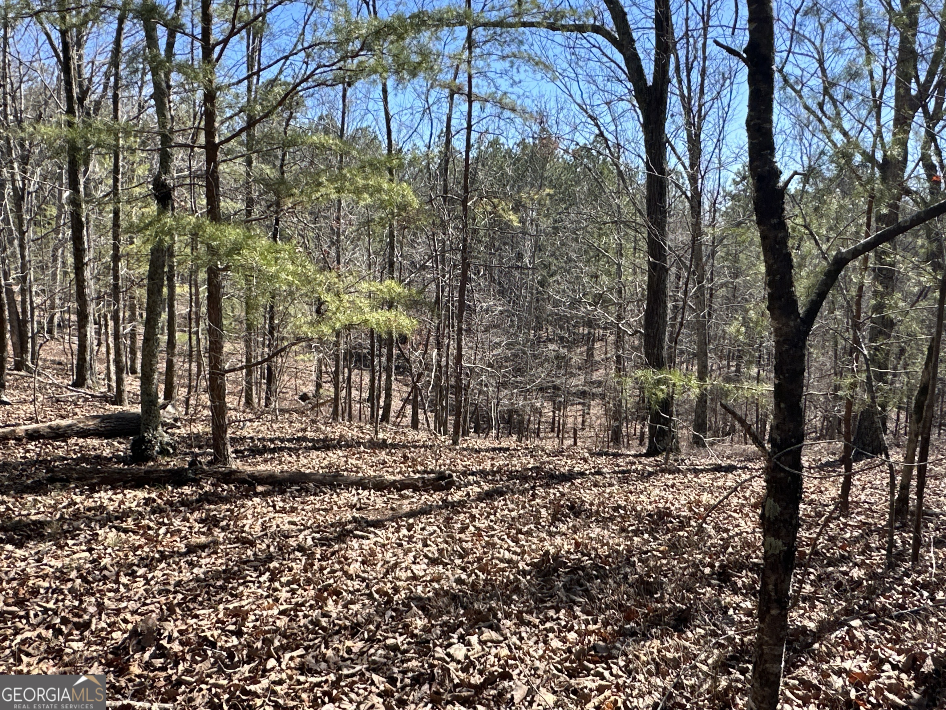 3472 Prior Station Road Cedartown GA 30125